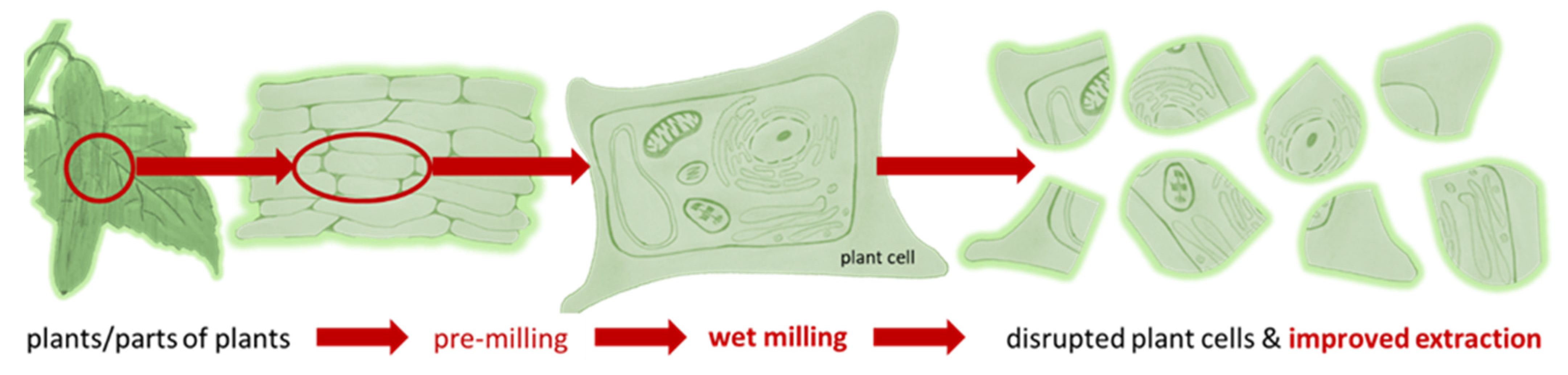 Pharmaceutics 14 00476 g001