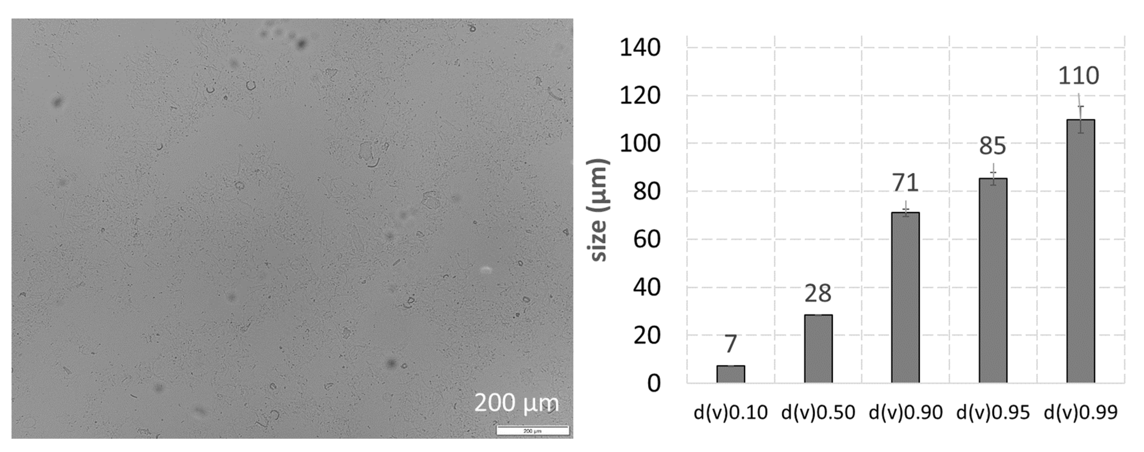 Pharmaceutics 14 00476 g005