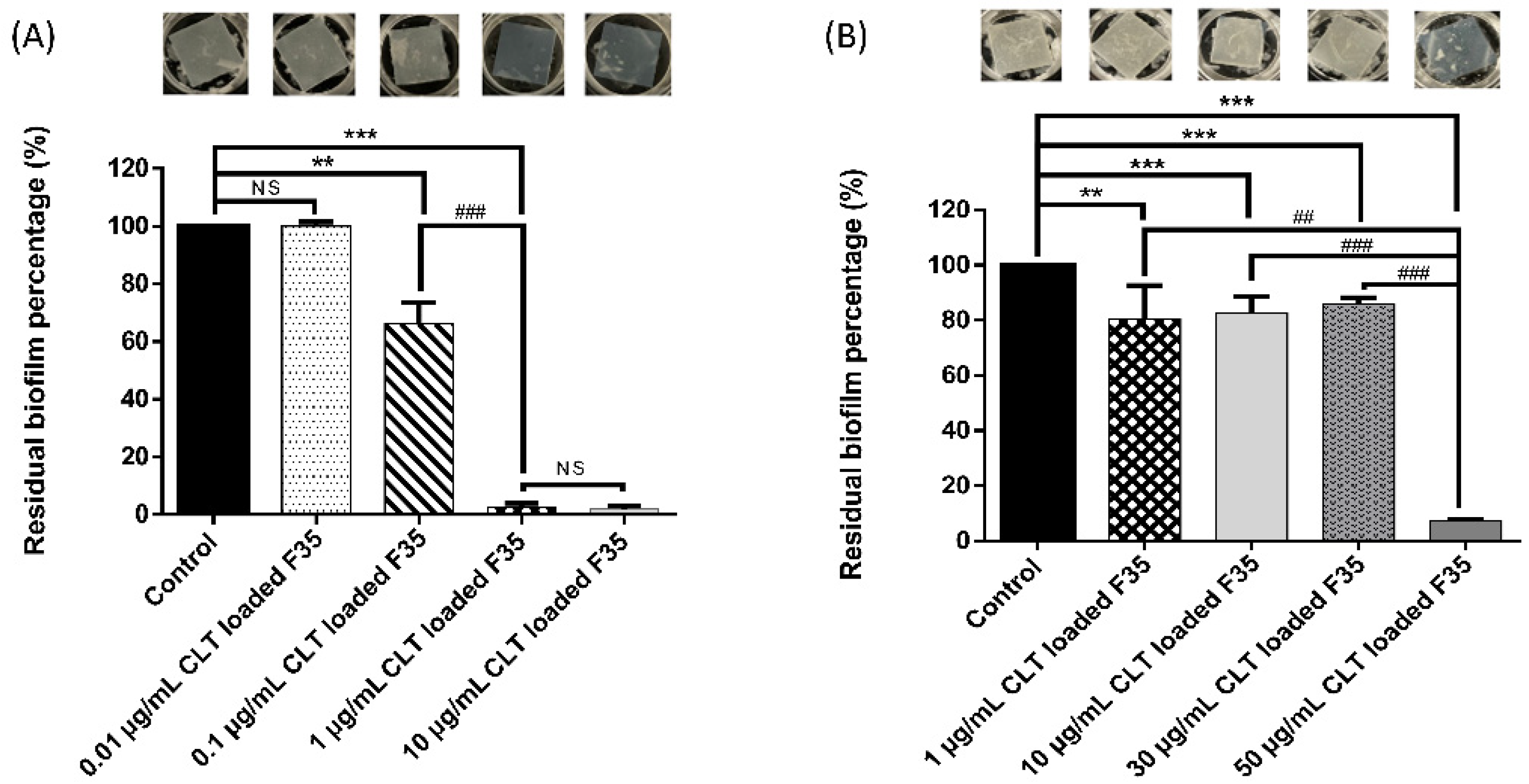 Pharmaceutics 14 00478 g003