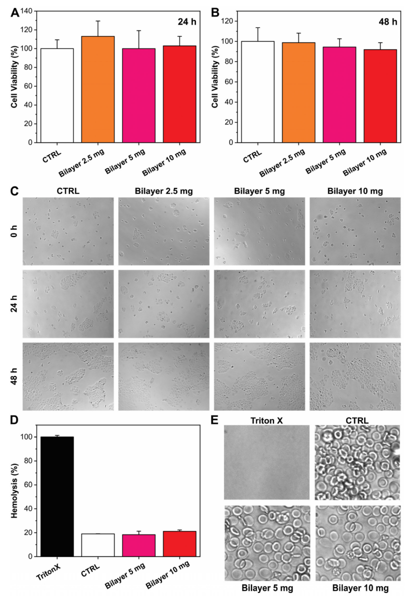 Pharmaceutics 14 00483 g001