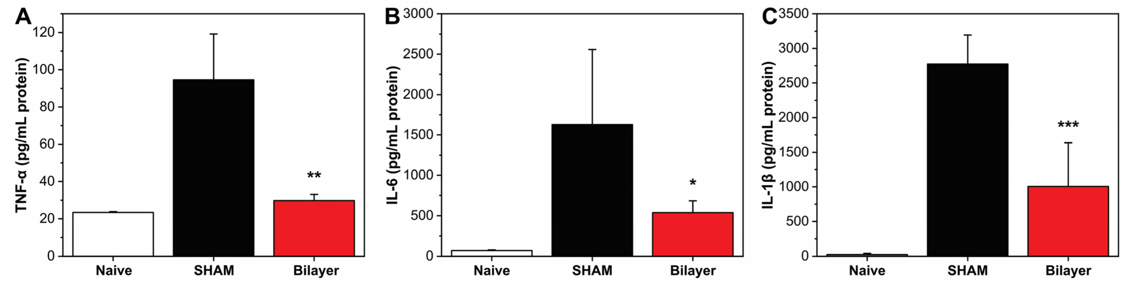Pharmaceutics 14 00483 g004