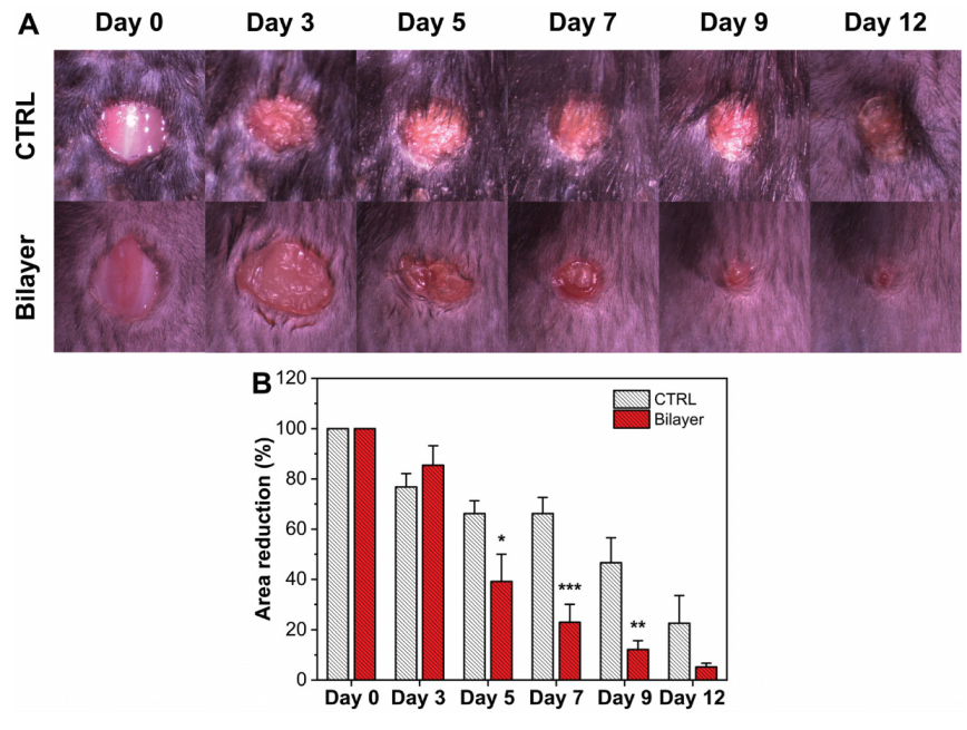Pharmaceutics 14 00483 g005