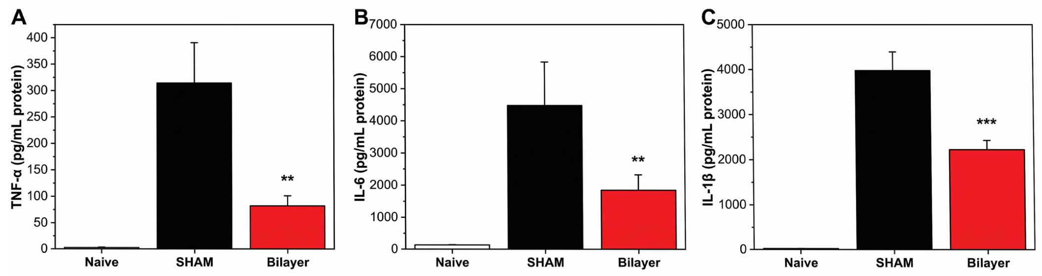 Pharmaceutics 14 00483 g006