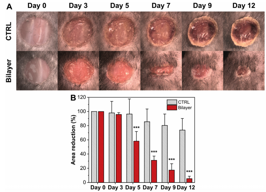 Pharmaceutics 14 00483 g007