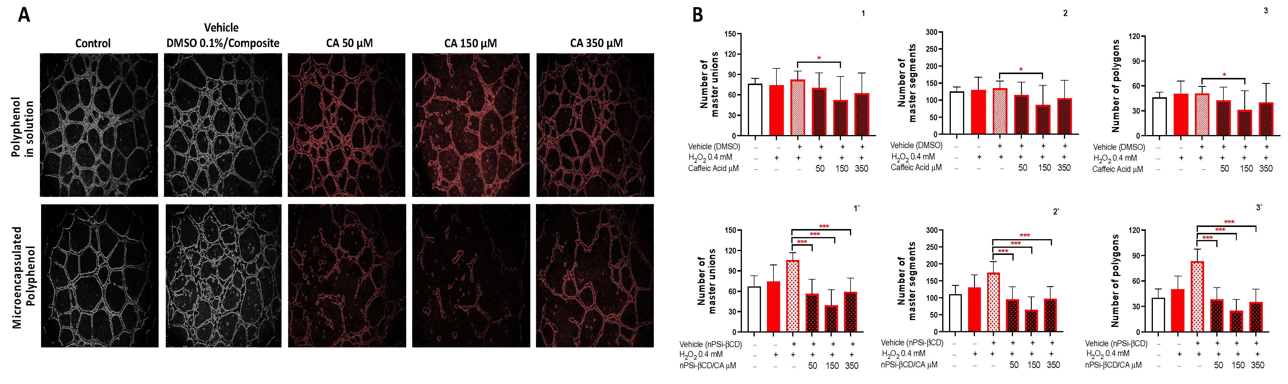Pharmaceutics 14 00484 g006
