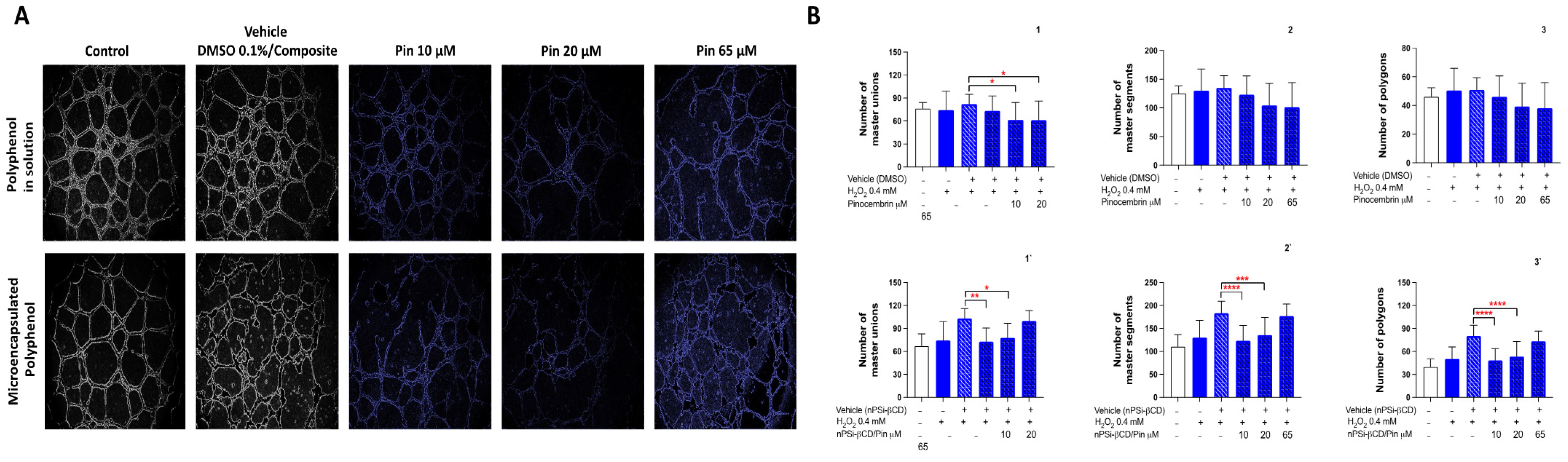 Pharmaceutics 14 00484 g007