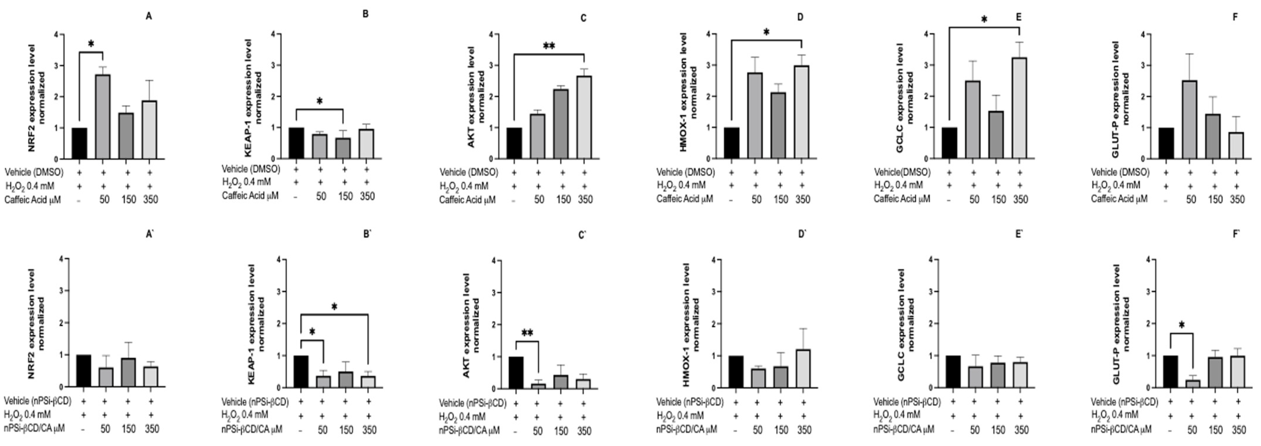 Pharmaceutics 14 00484 g009