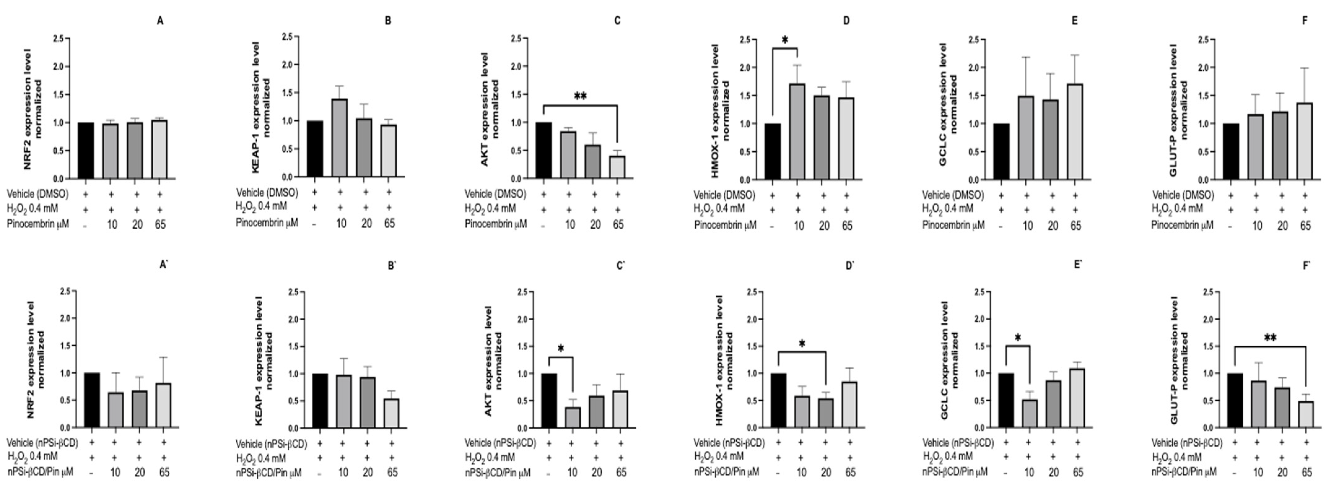 Pharmaceutics 14 00484 g010