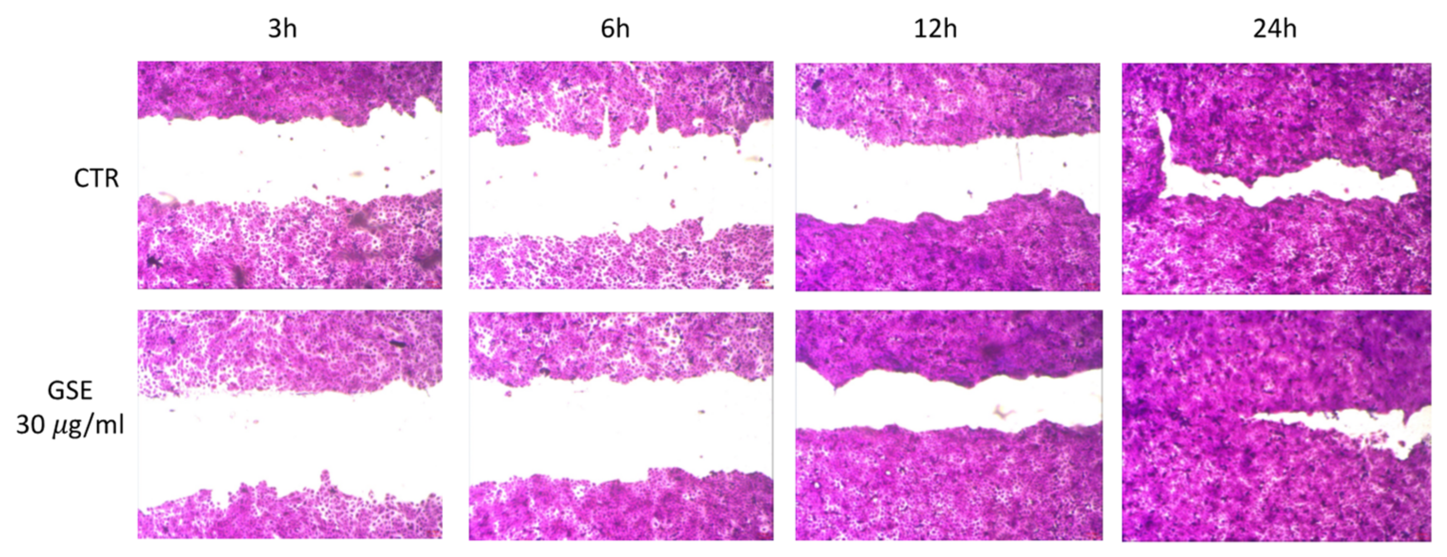Pharmaceutics 14 00485 g005