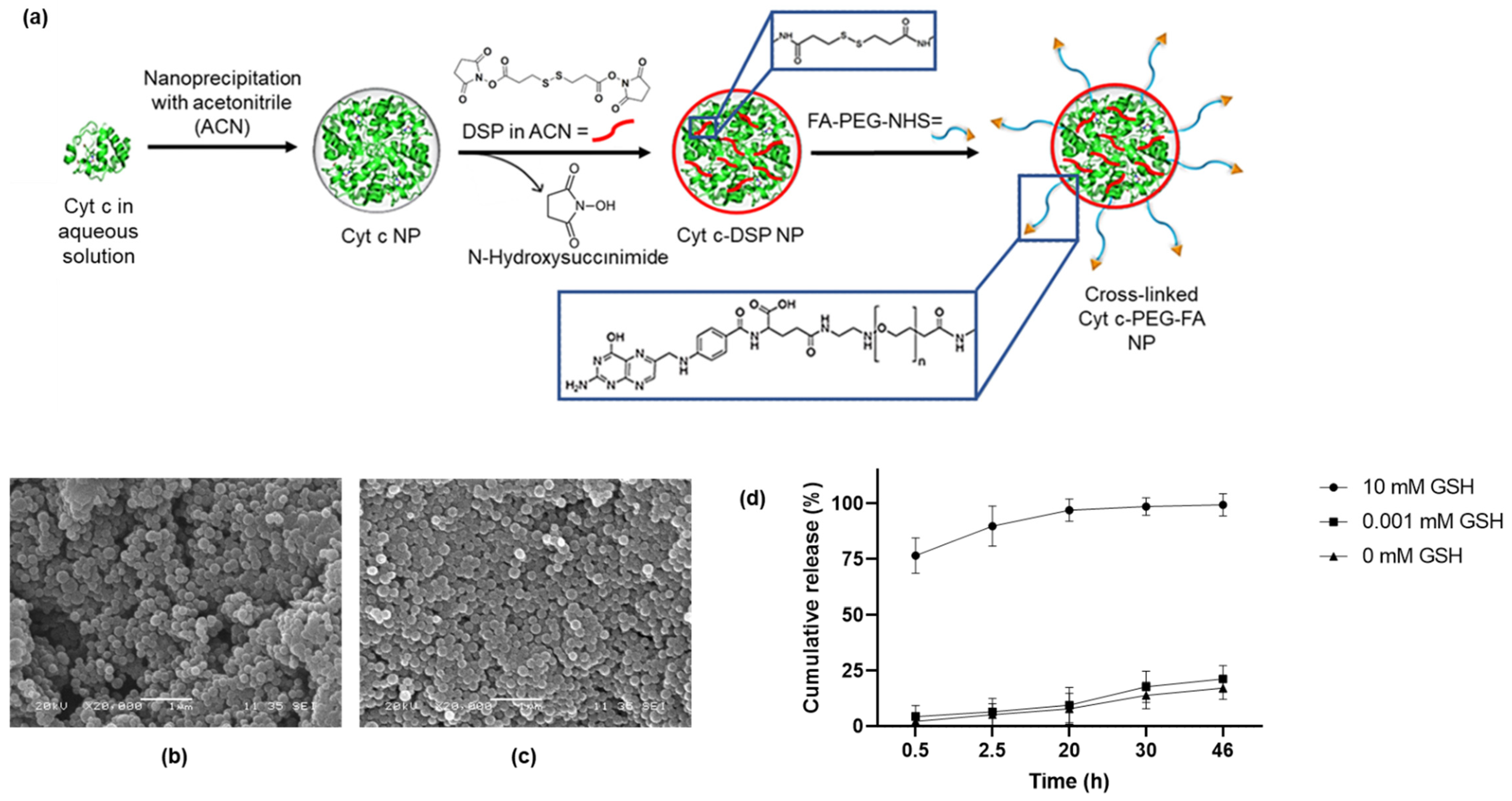 Pharmaceutics 14 00490 g001