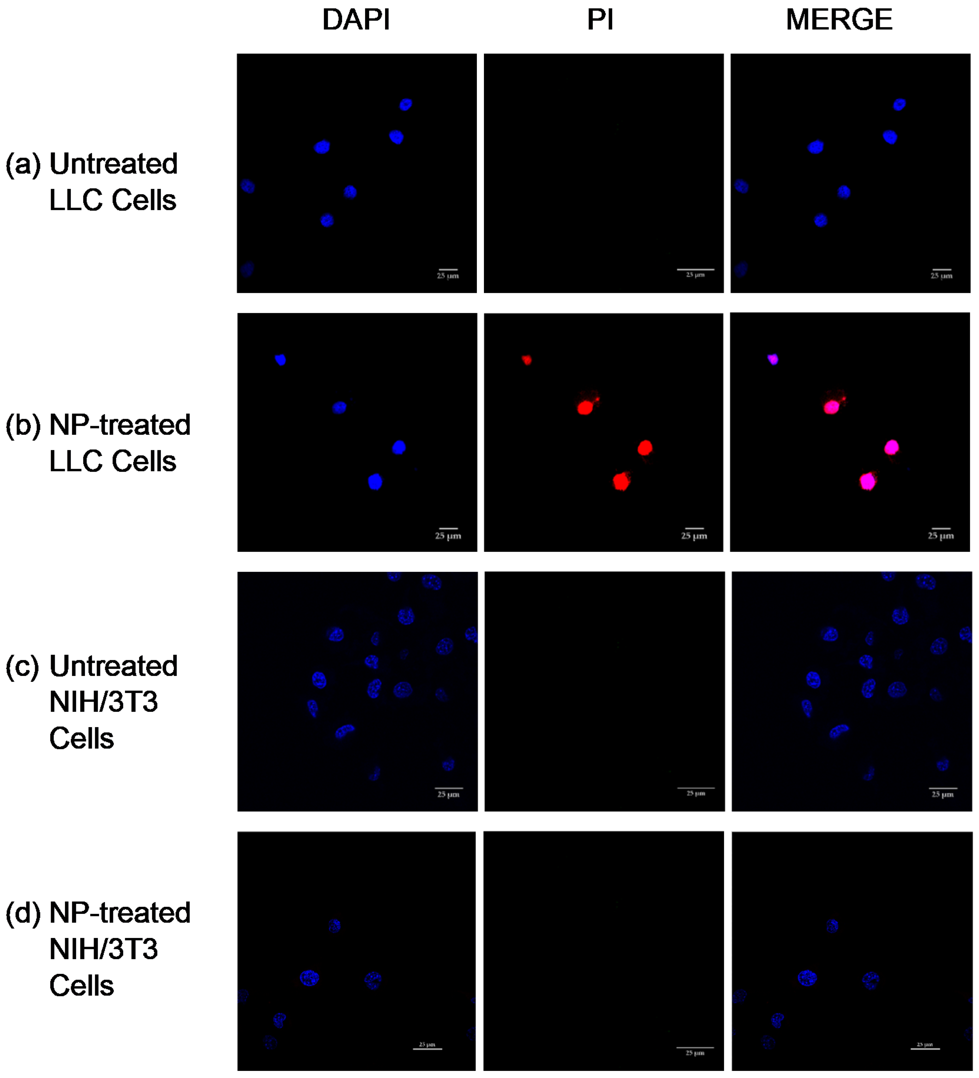 Pharmaceutics 14 00490 g005