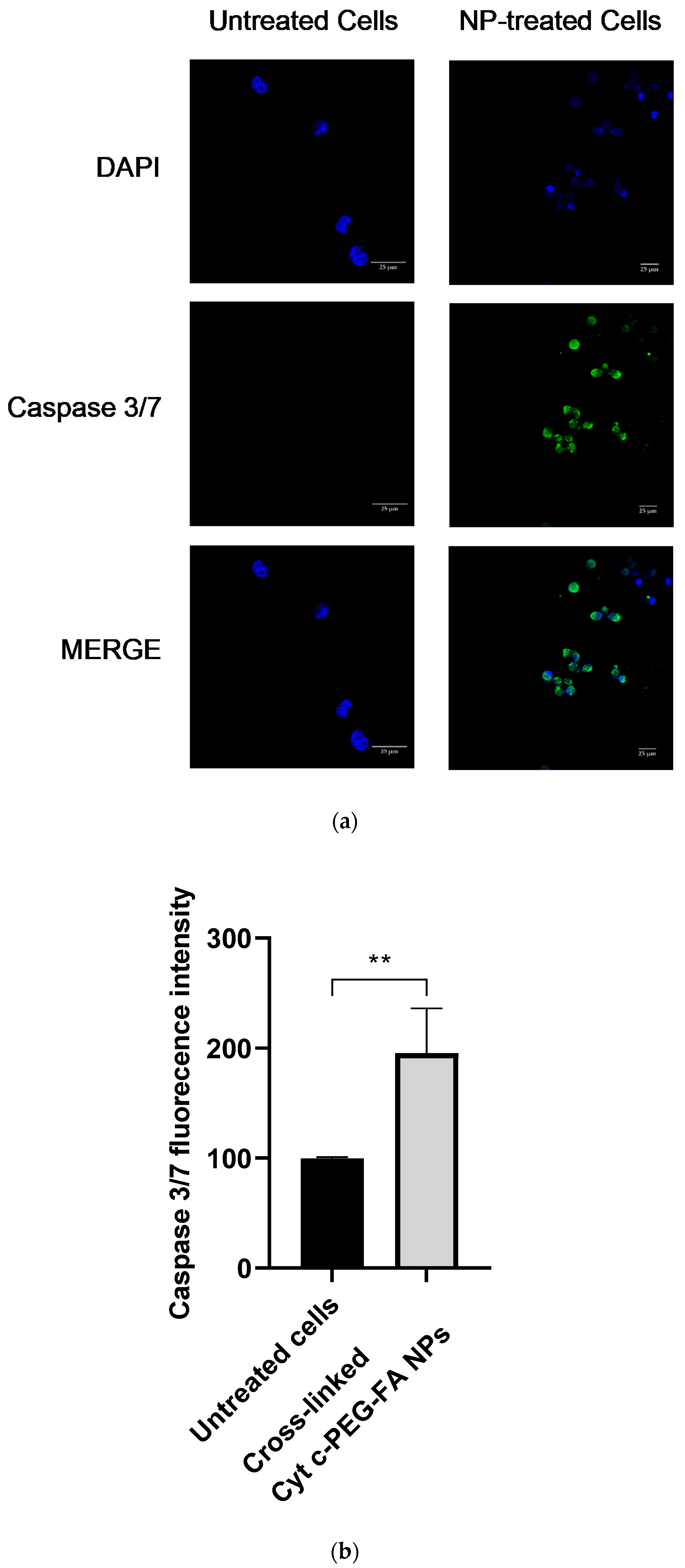 Pharmaceutics 14 00490 g006