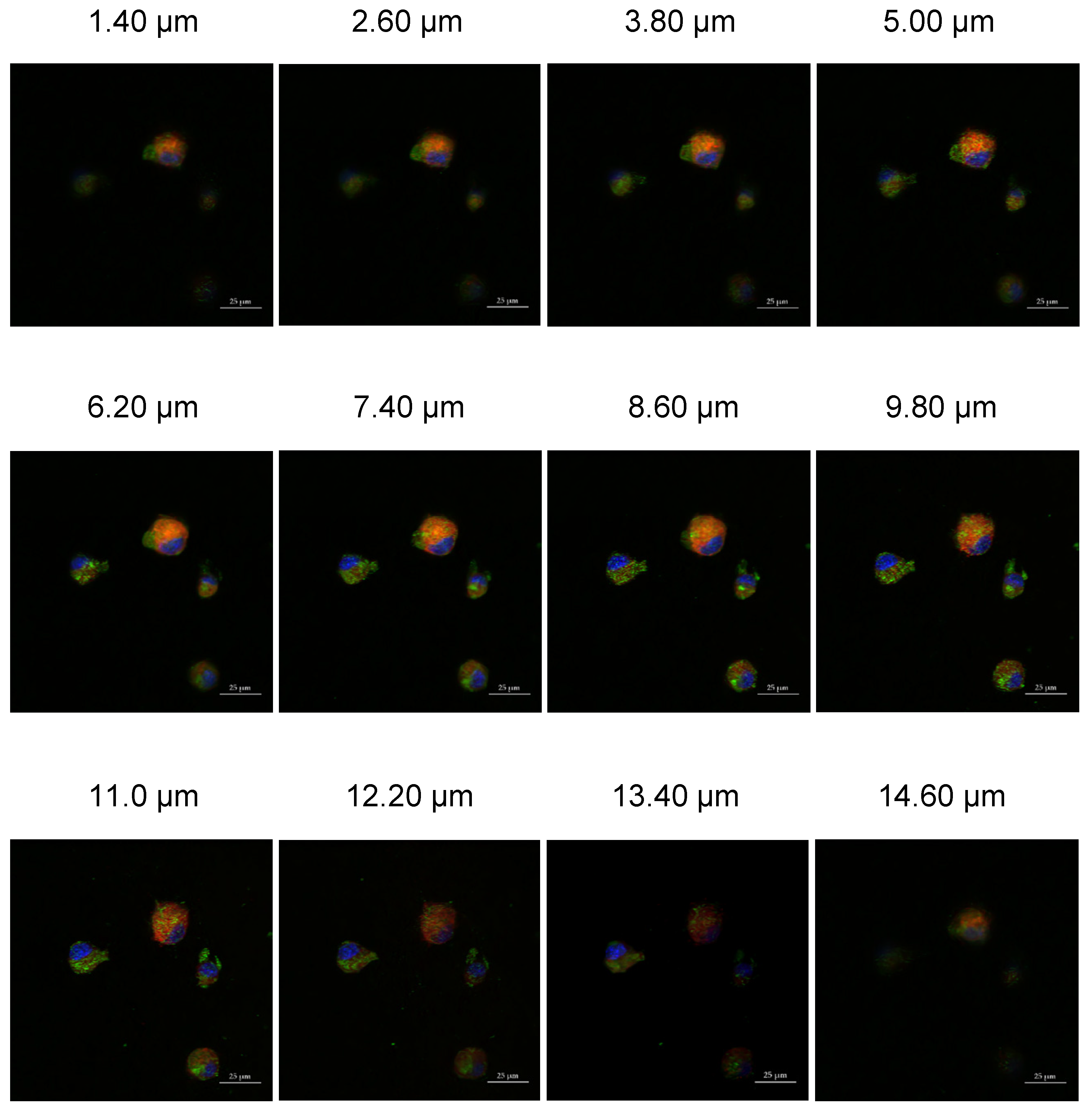 Pharmaceutics 14 00490 g007