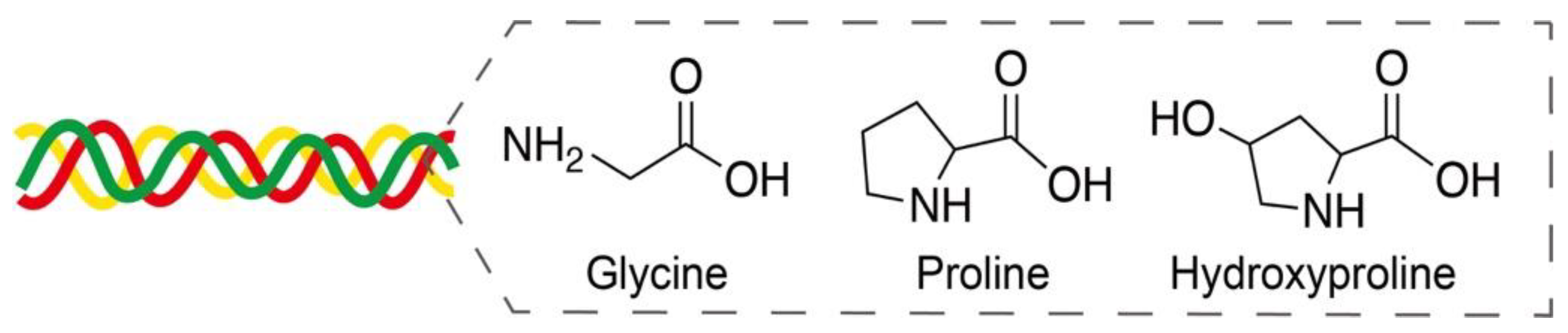 Pharmaceutics 14 00492 g009 Pharmaceutics 14 00492 g009