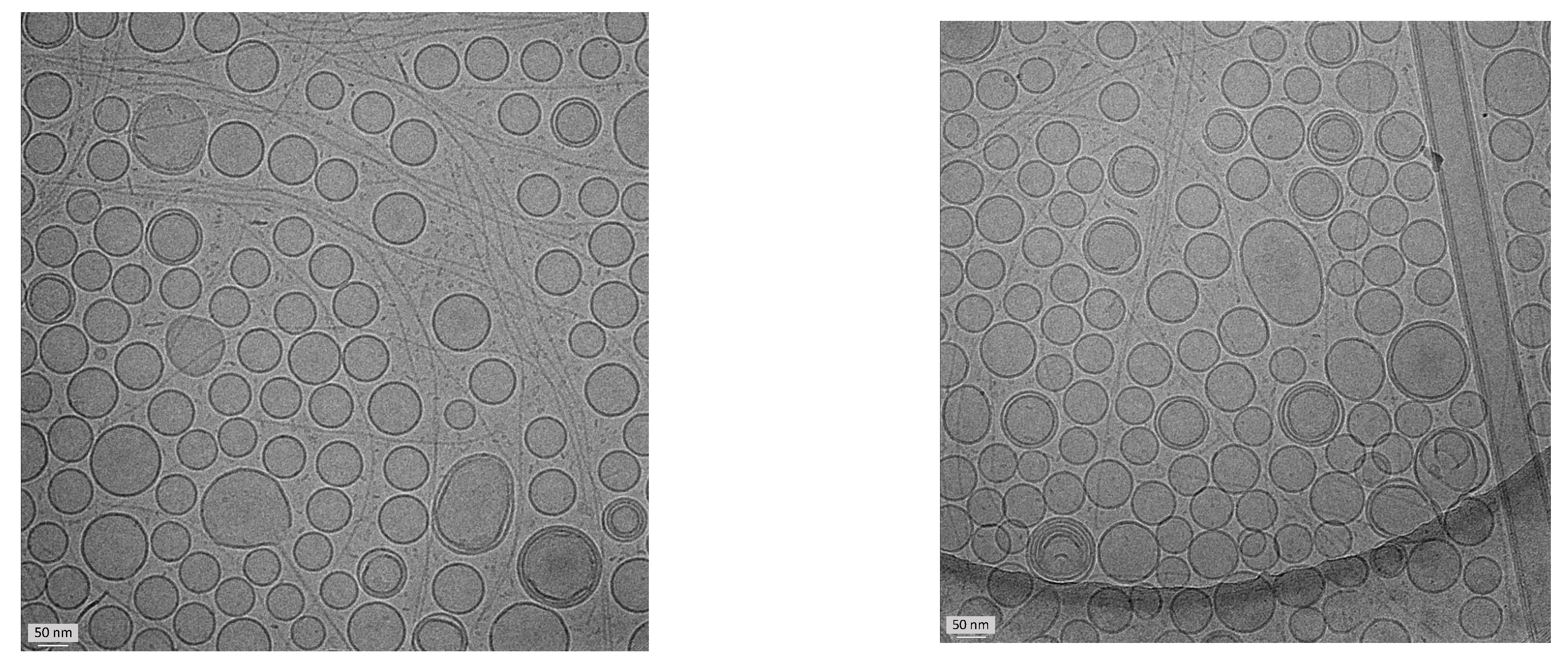 Pharmaceutics 14 00493 g003