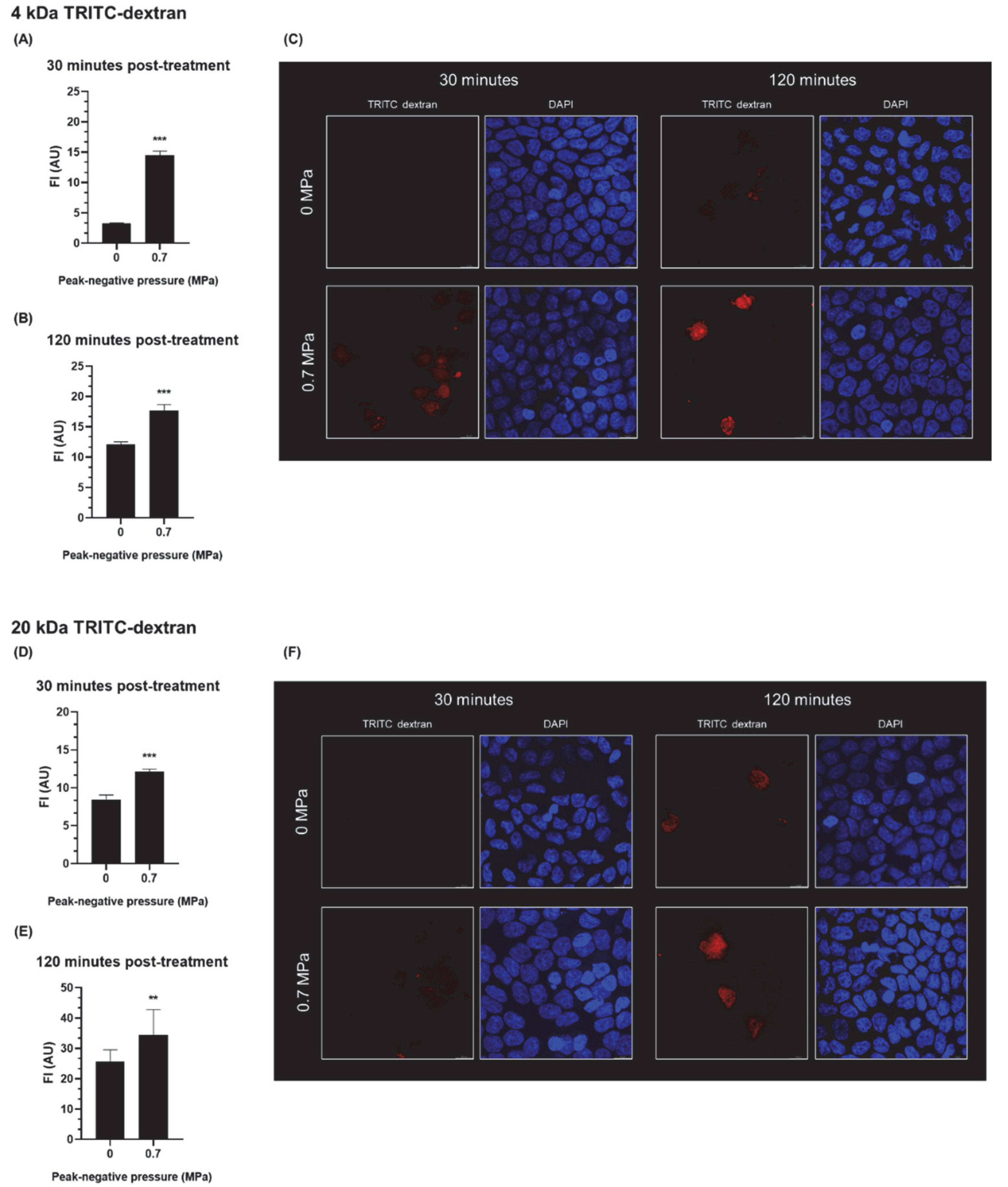 Pharmaceutics 14 00494 g003