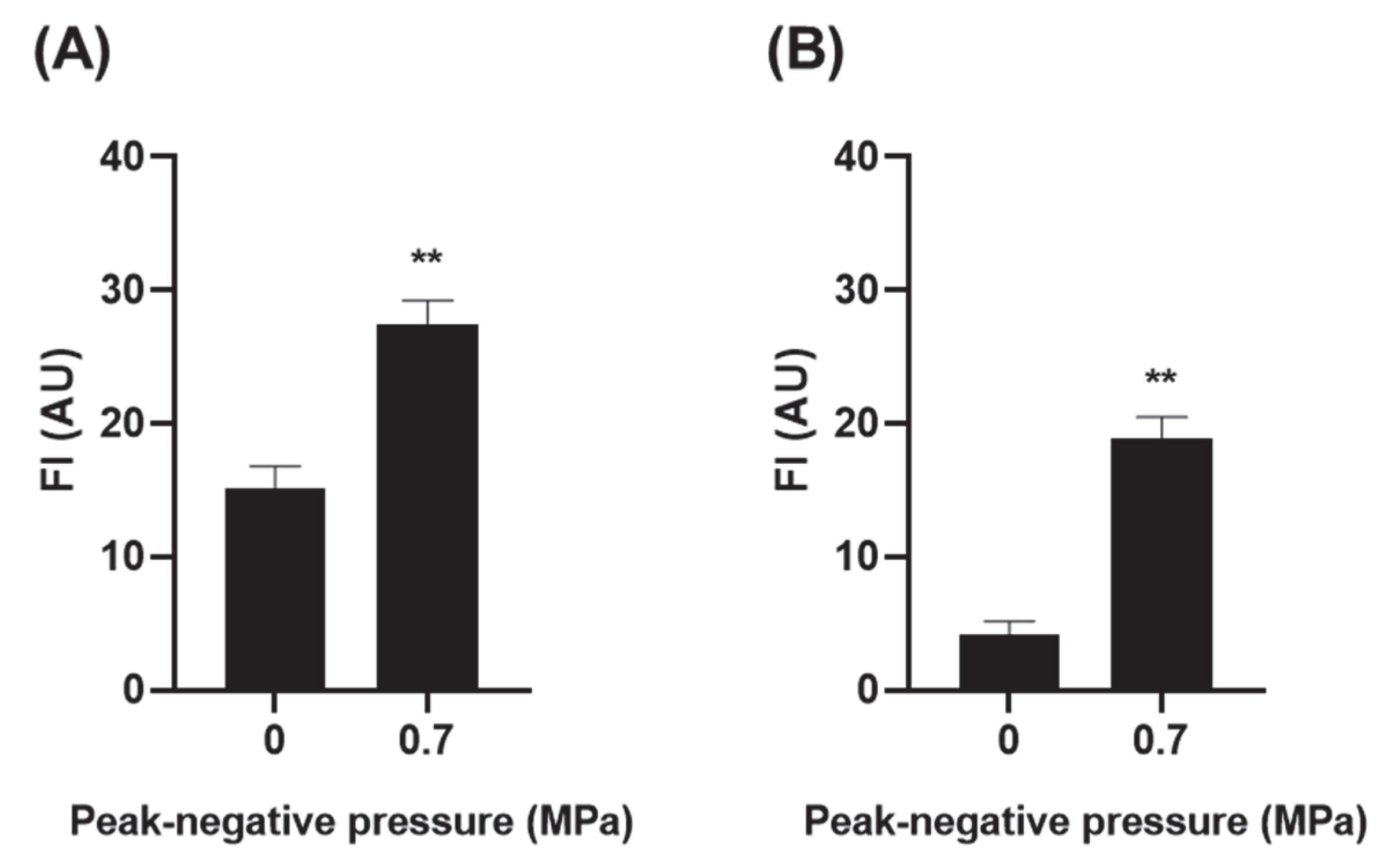 Pharmaceutics 14 00494 g004