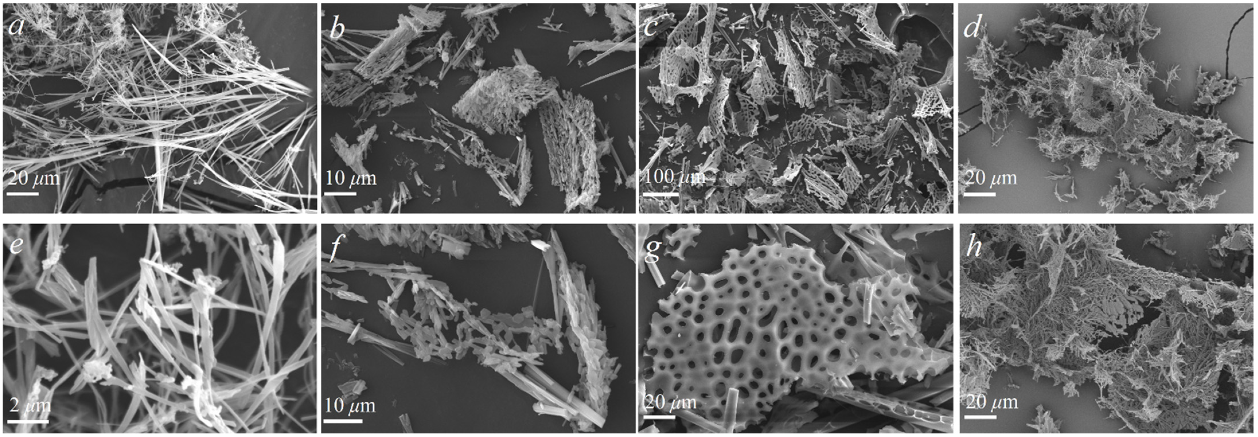 Pharmaceutics 14 00495 g001