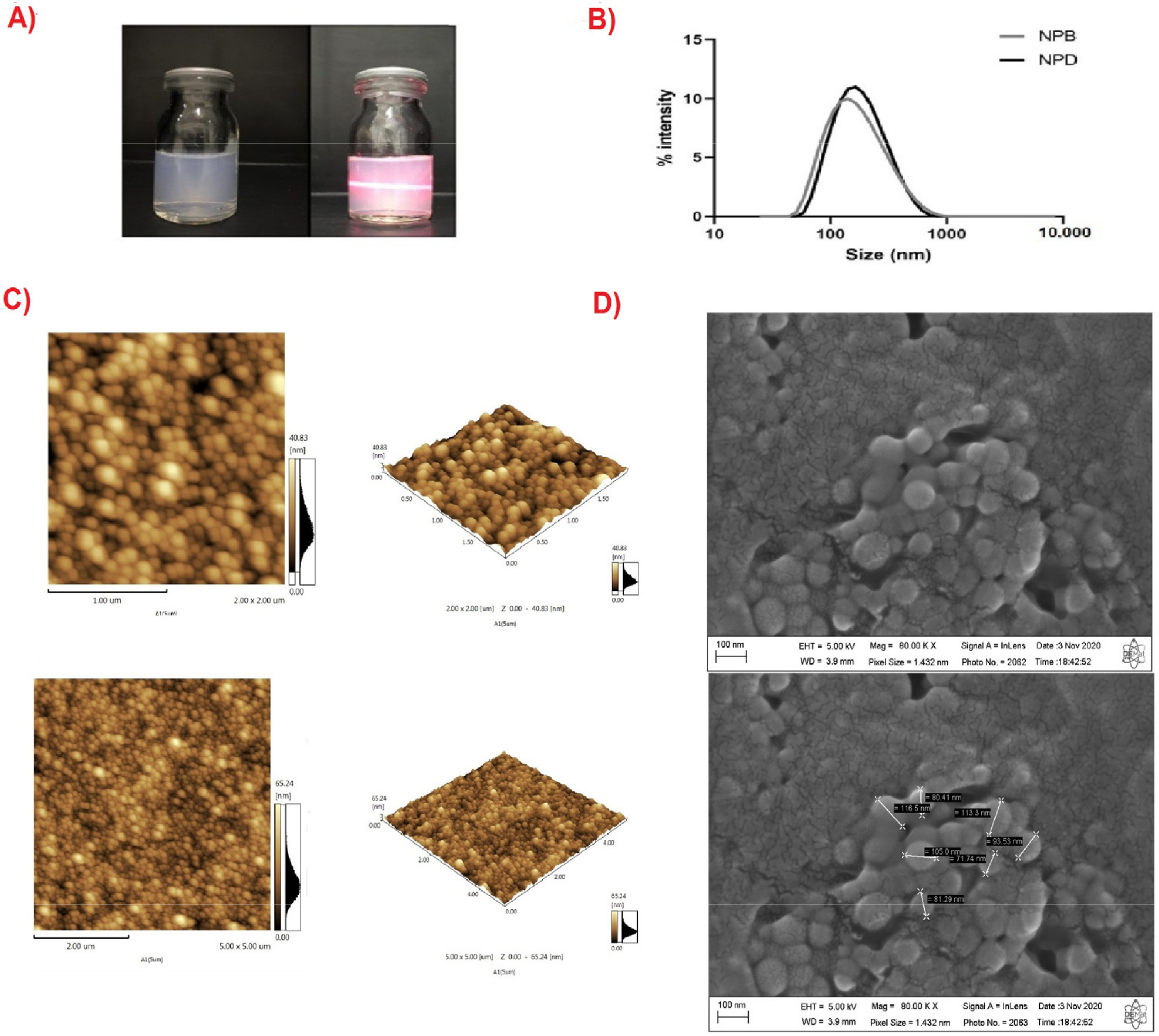 Pharmaceutics 14 00497 g001