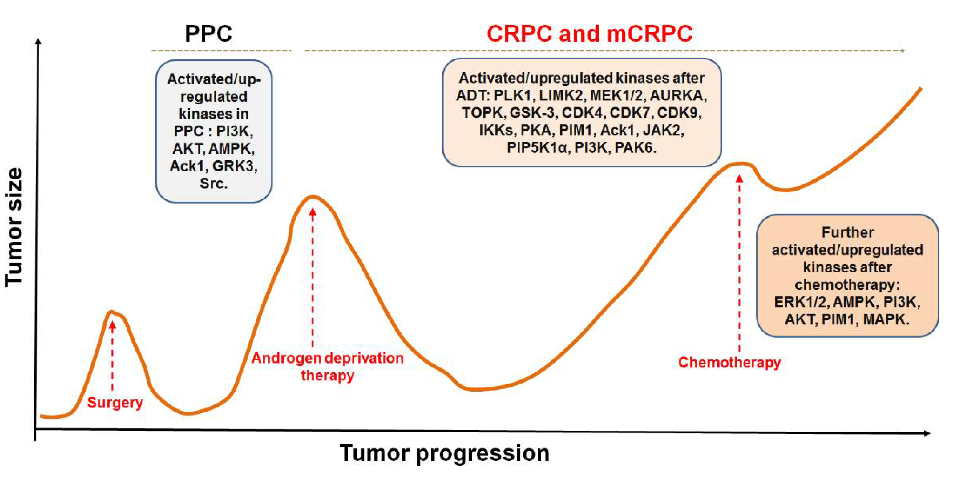 Pharmaceutics 14 00498 g001 Pharmaceutics 14 00498 g001
