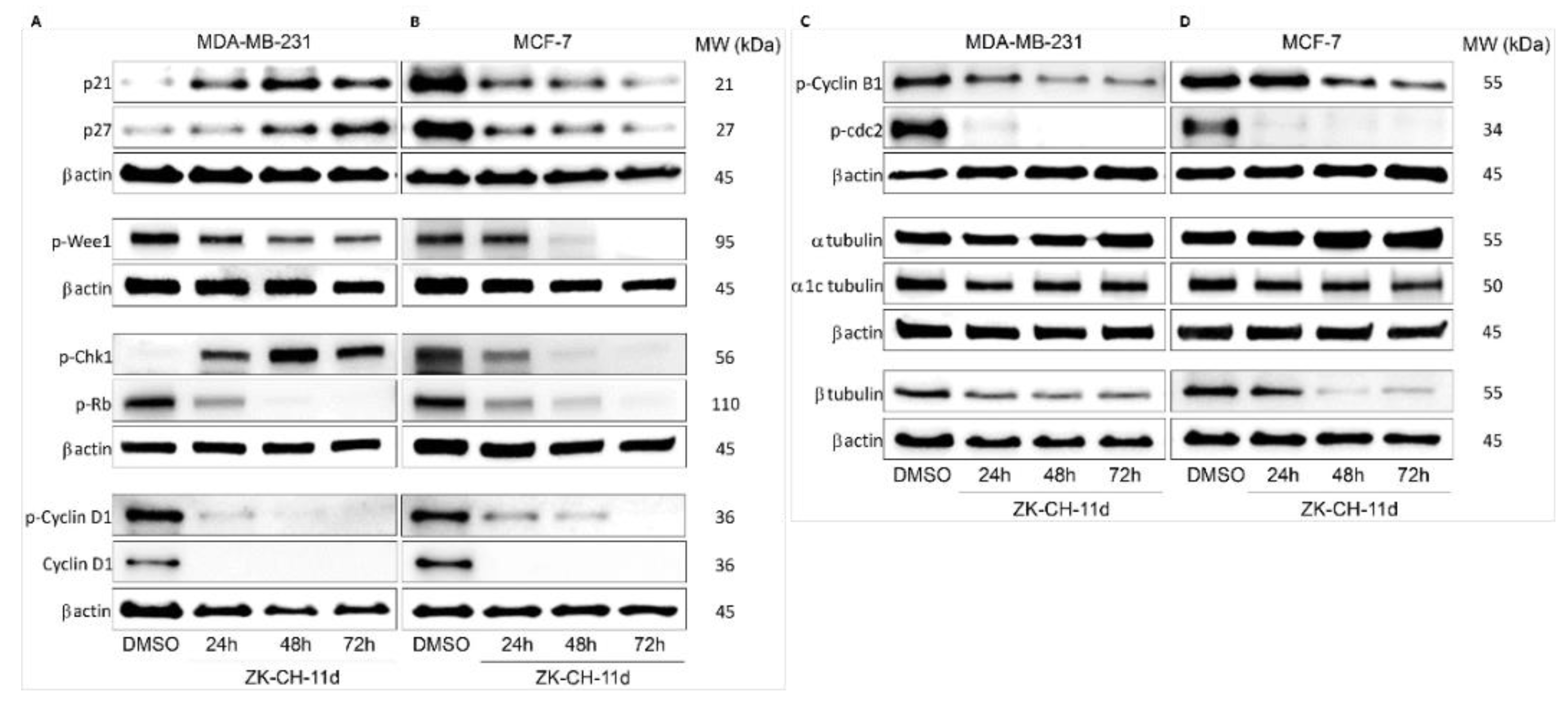 Pharmaceutics 14 00503 g006