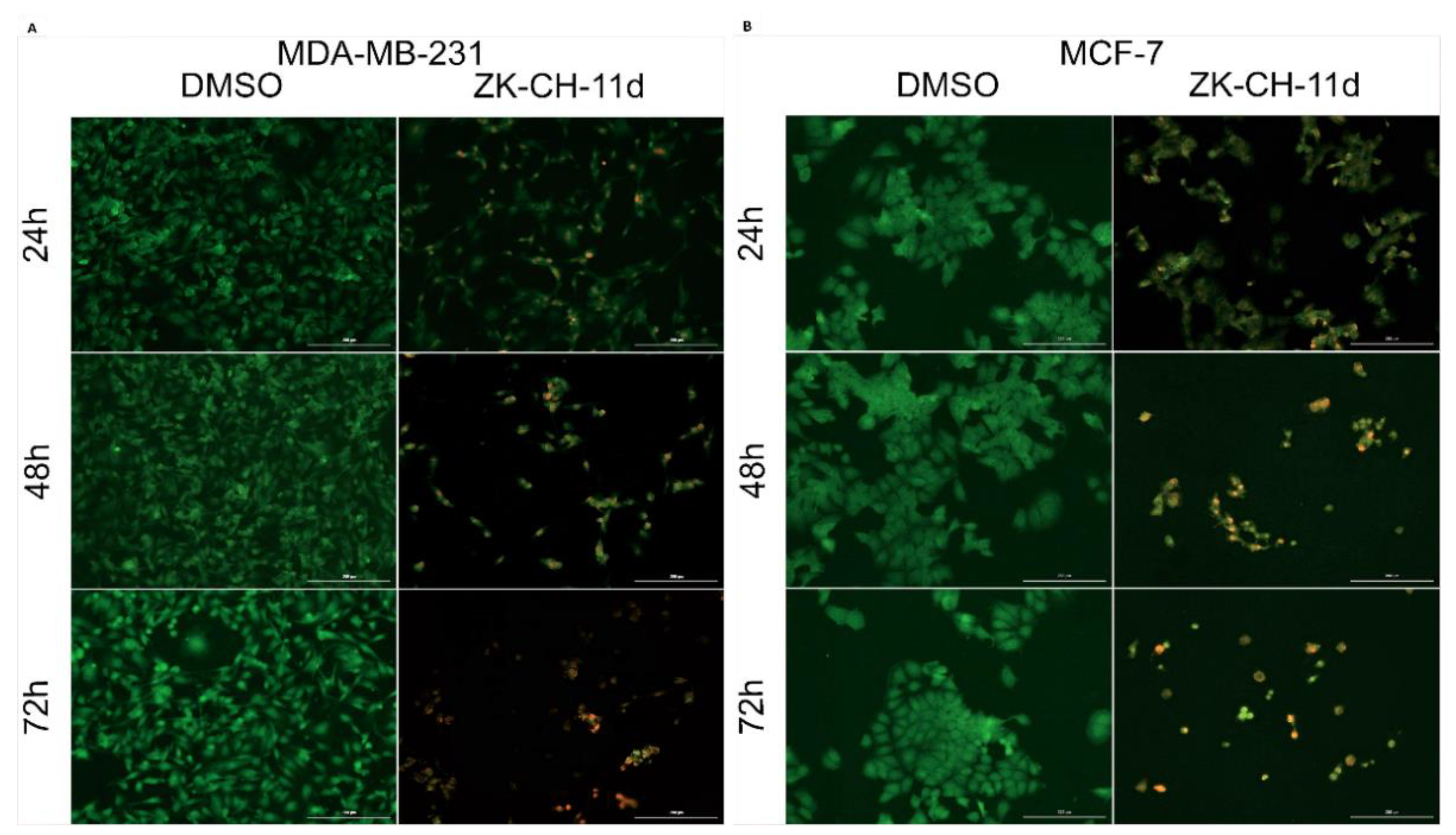 Pharmaceutics 14 00503 g007