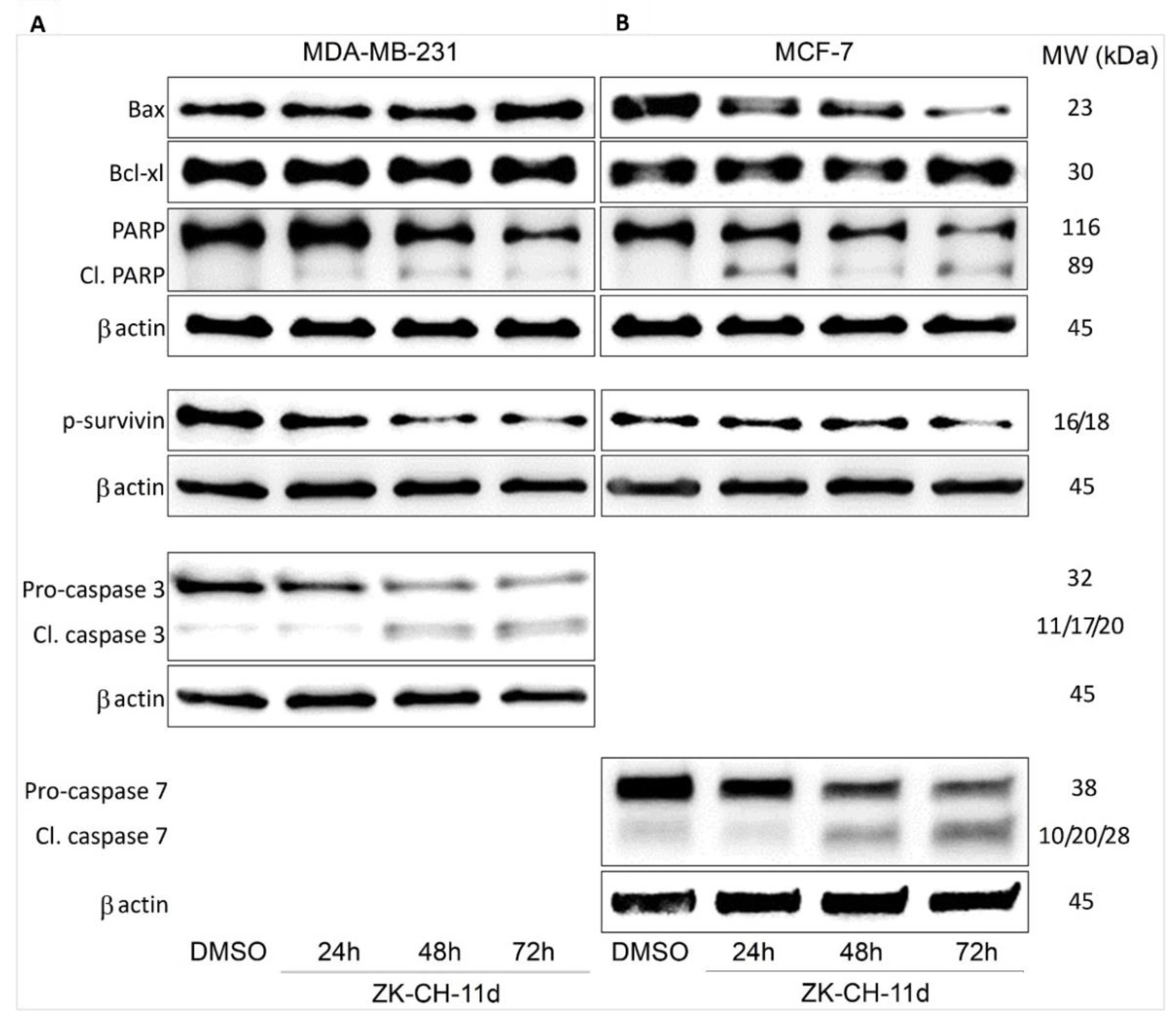 Pharmaceutics 14 00503 g009