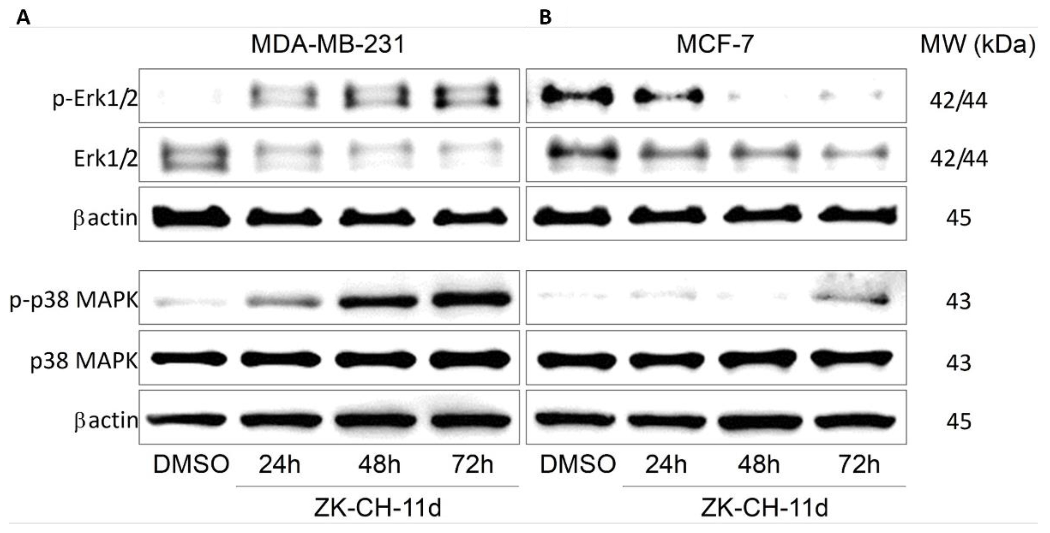 Pharmaceutics 14 00503 g014