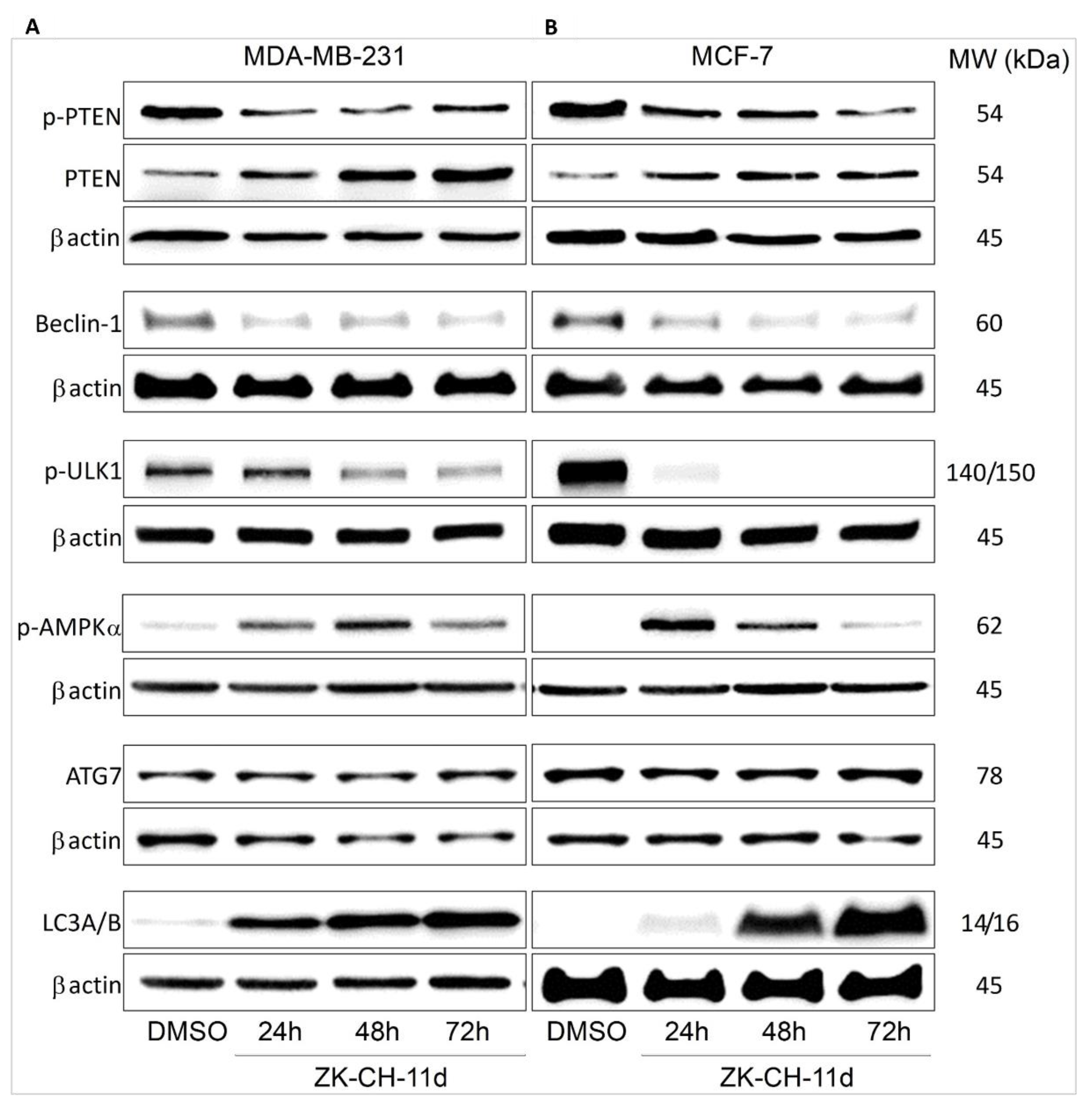 Pharmaceutics 14 00503 g016