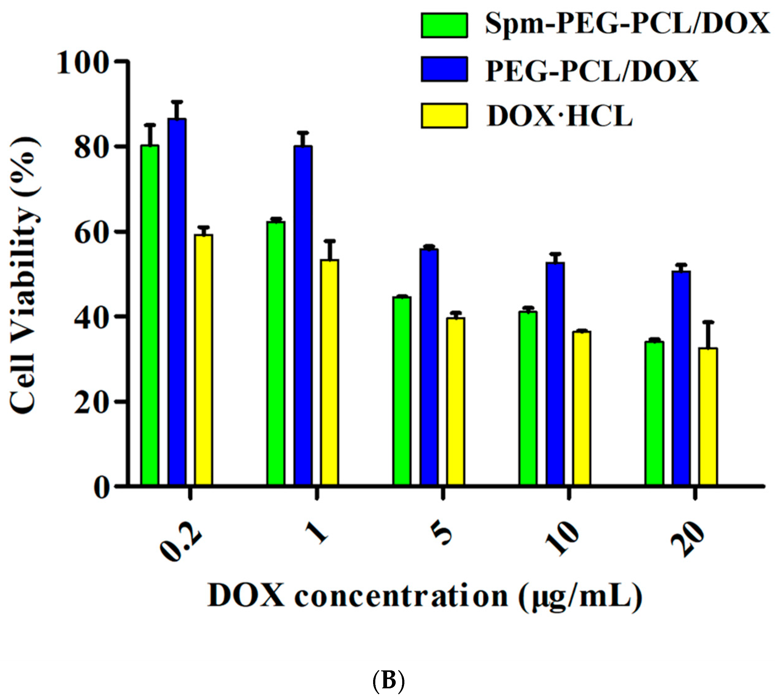 Pharmaceutics 14 00510 g006b