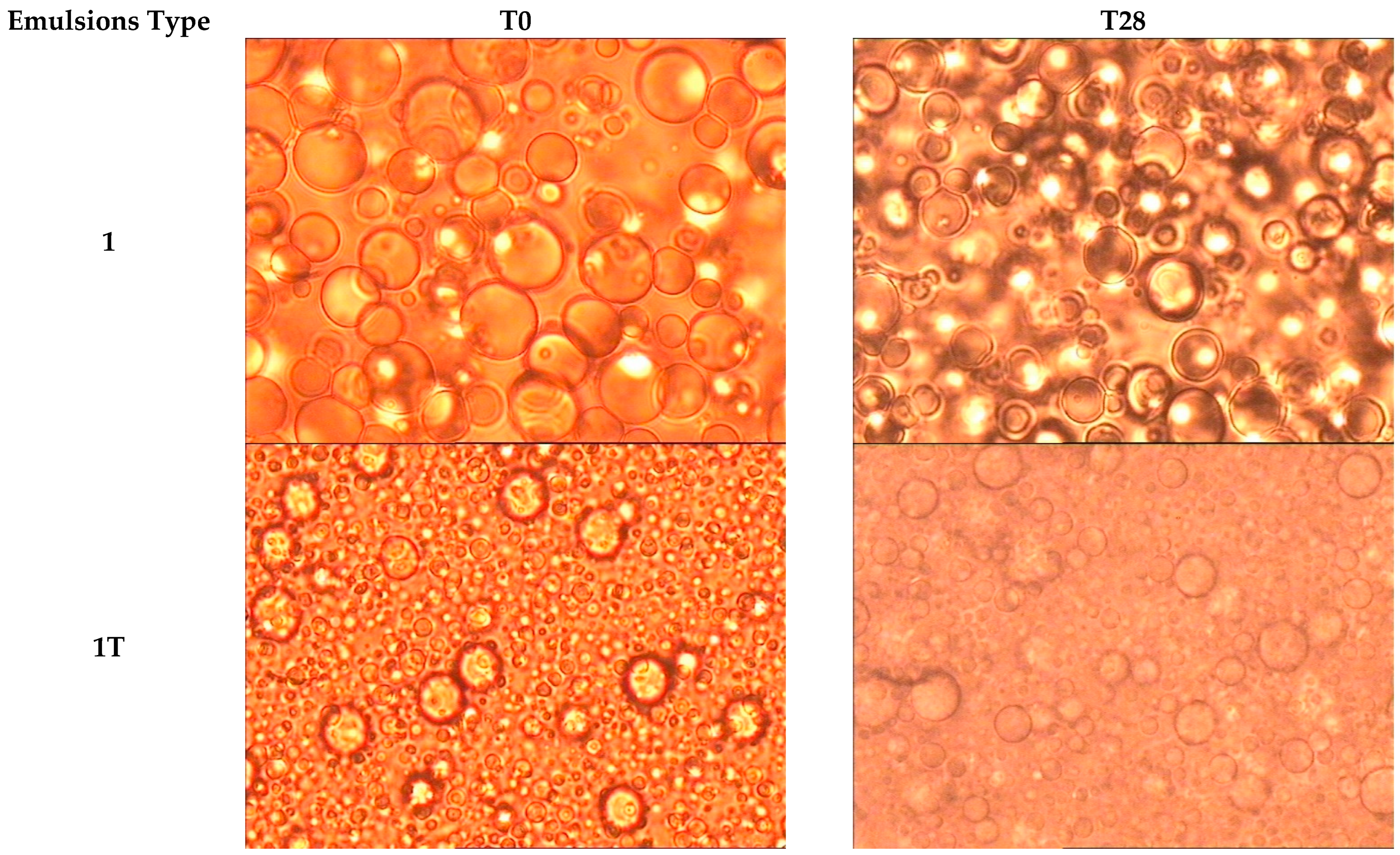 Pharmaceutics 14 00513 g001a 550