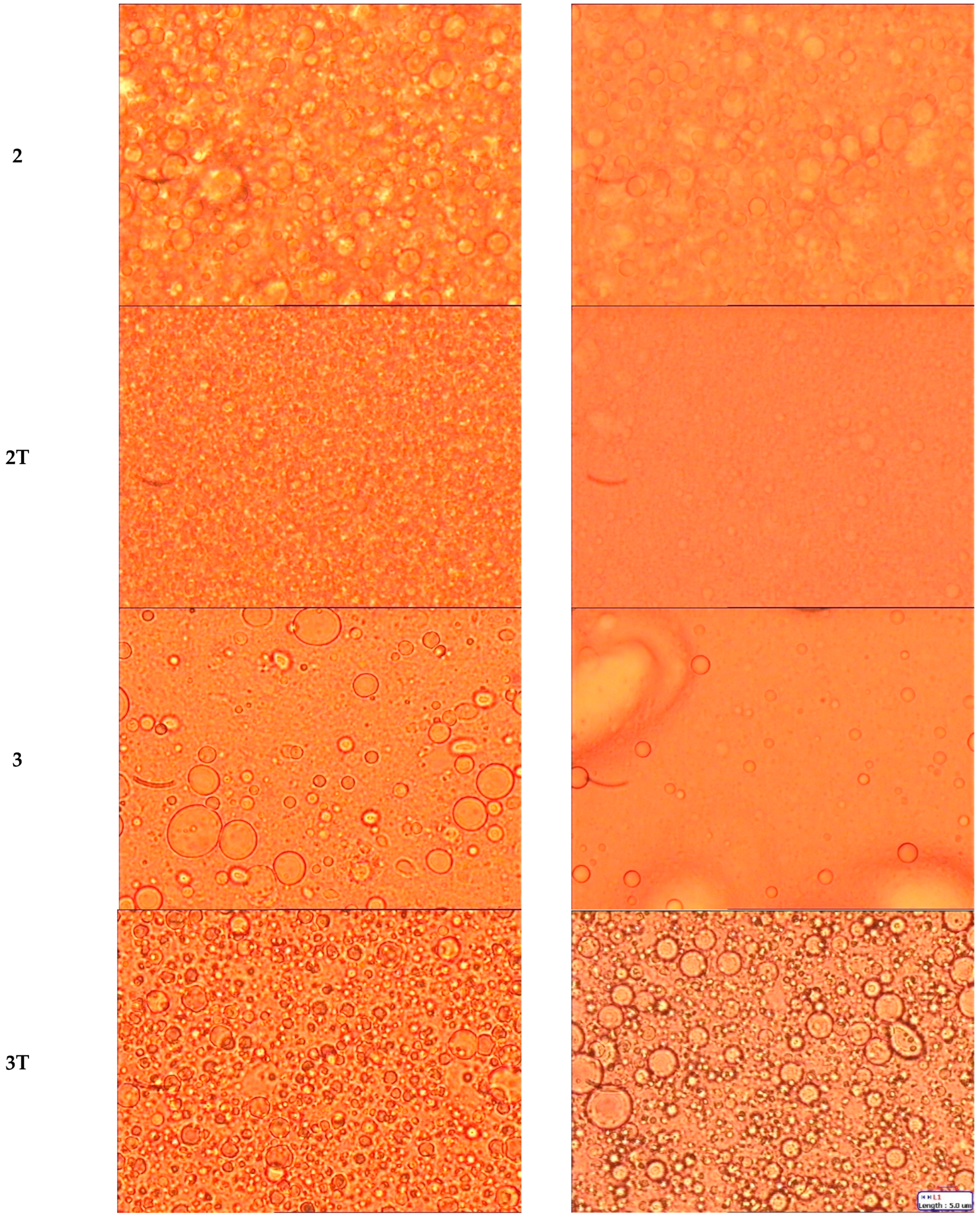 Pharmaceutics 14 00513 g001b 550