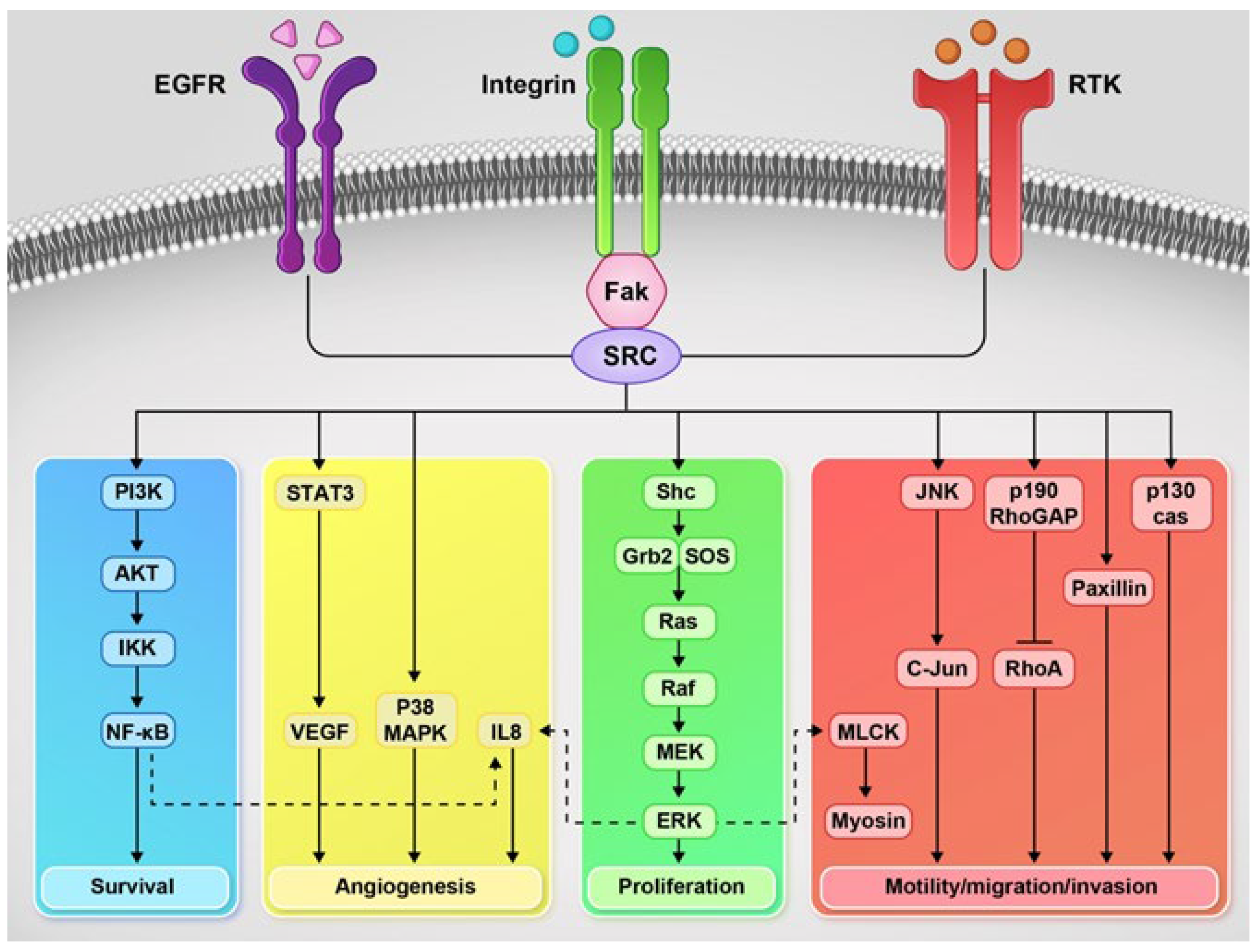 Pharmaceutics 14 00515 g002 Pharmaceutics 14 00515 g002