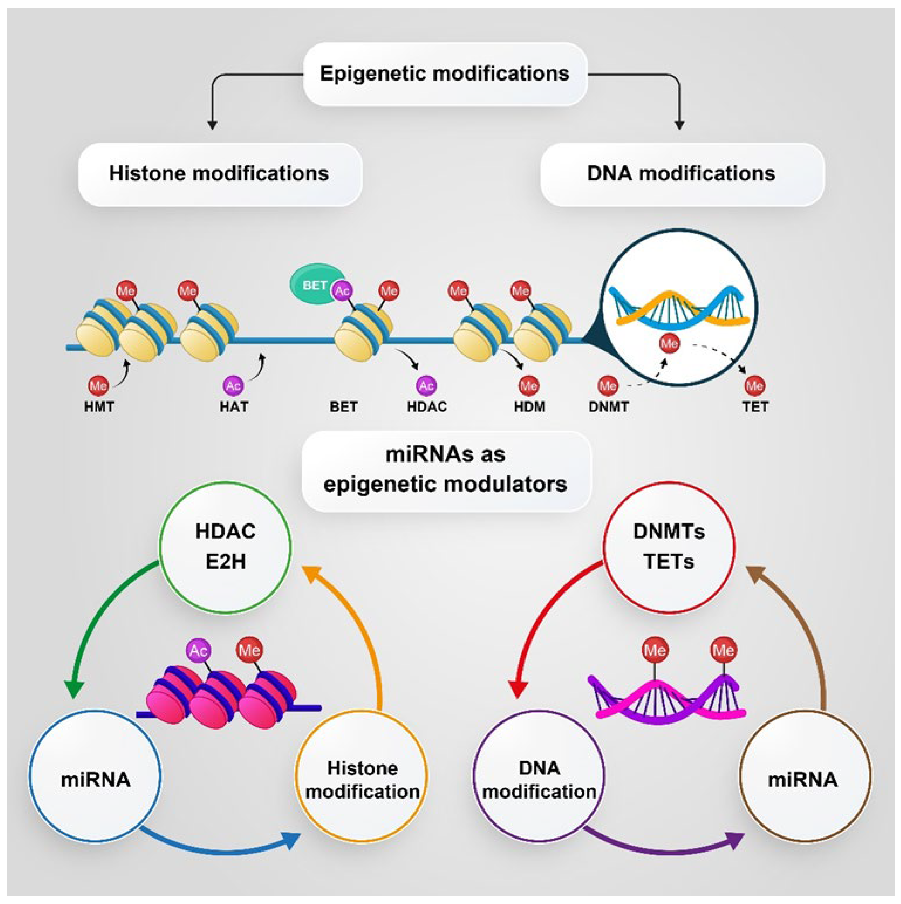 Pharmaceutics 14 00515 g003 Pharmaceutics 14 00515 g003