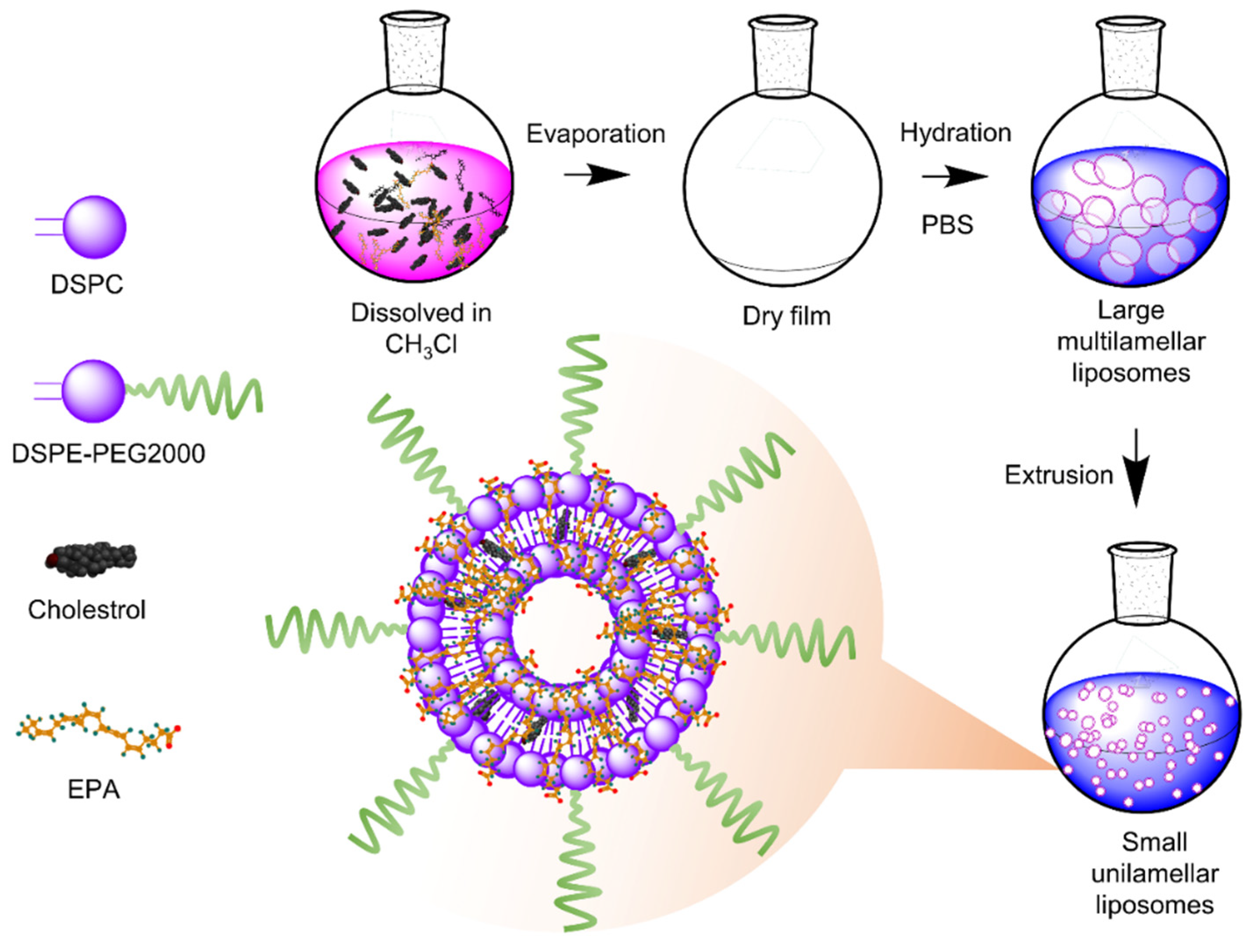 Pharmaceutics 14 00520 g001