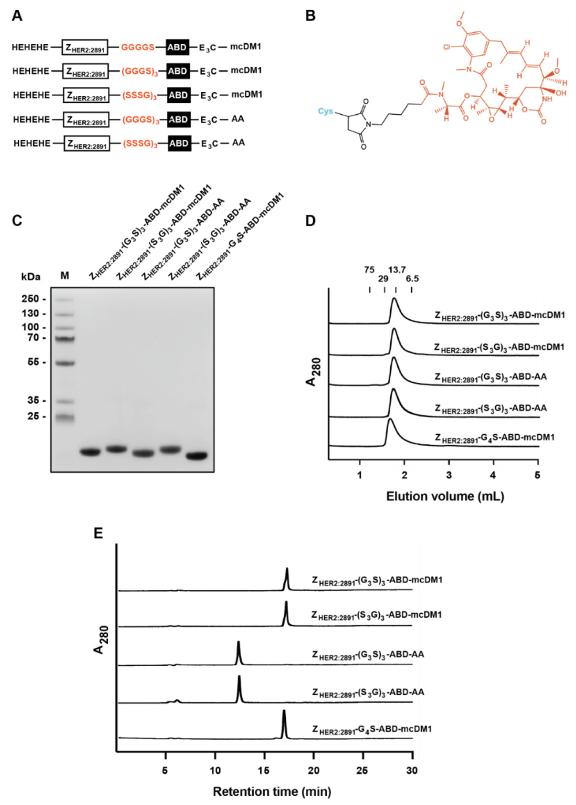 Pharmaceutics 14 00522 g001 550