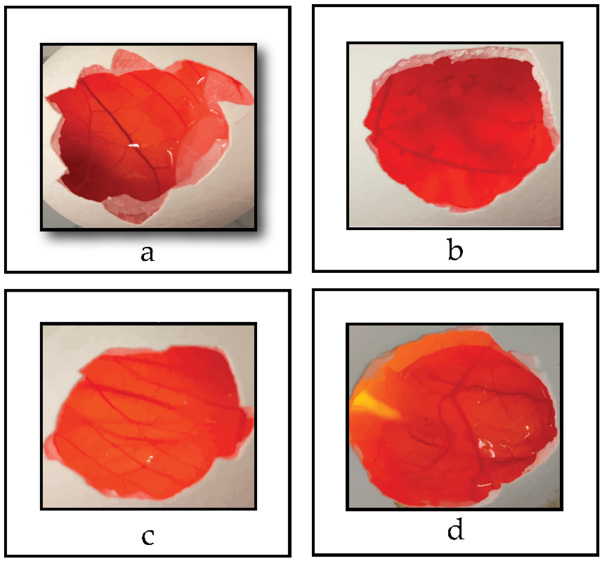 Pharmaceutics 14 00526 g006 550