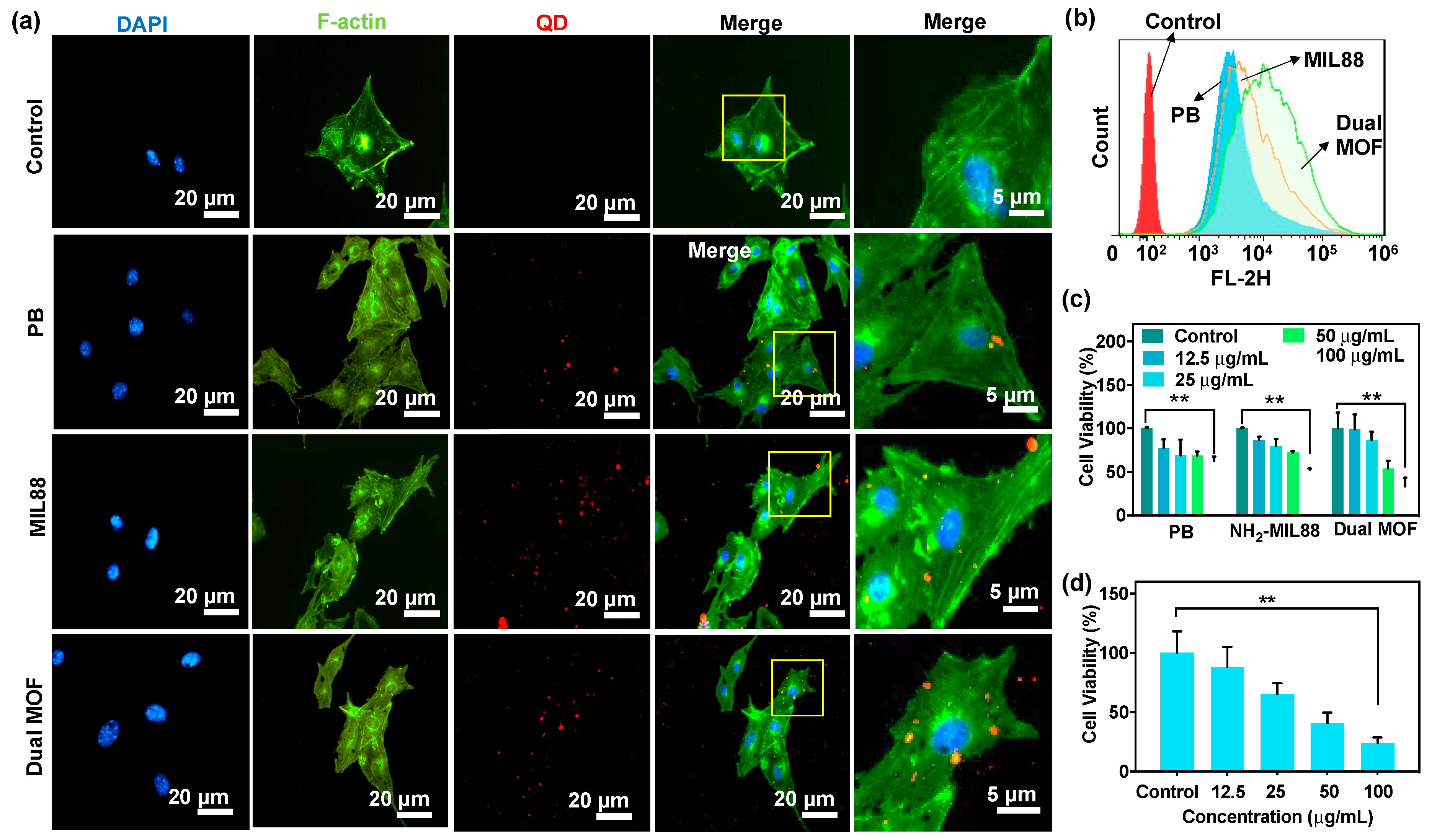 Pharmaceutics 14 00527 g003 550
