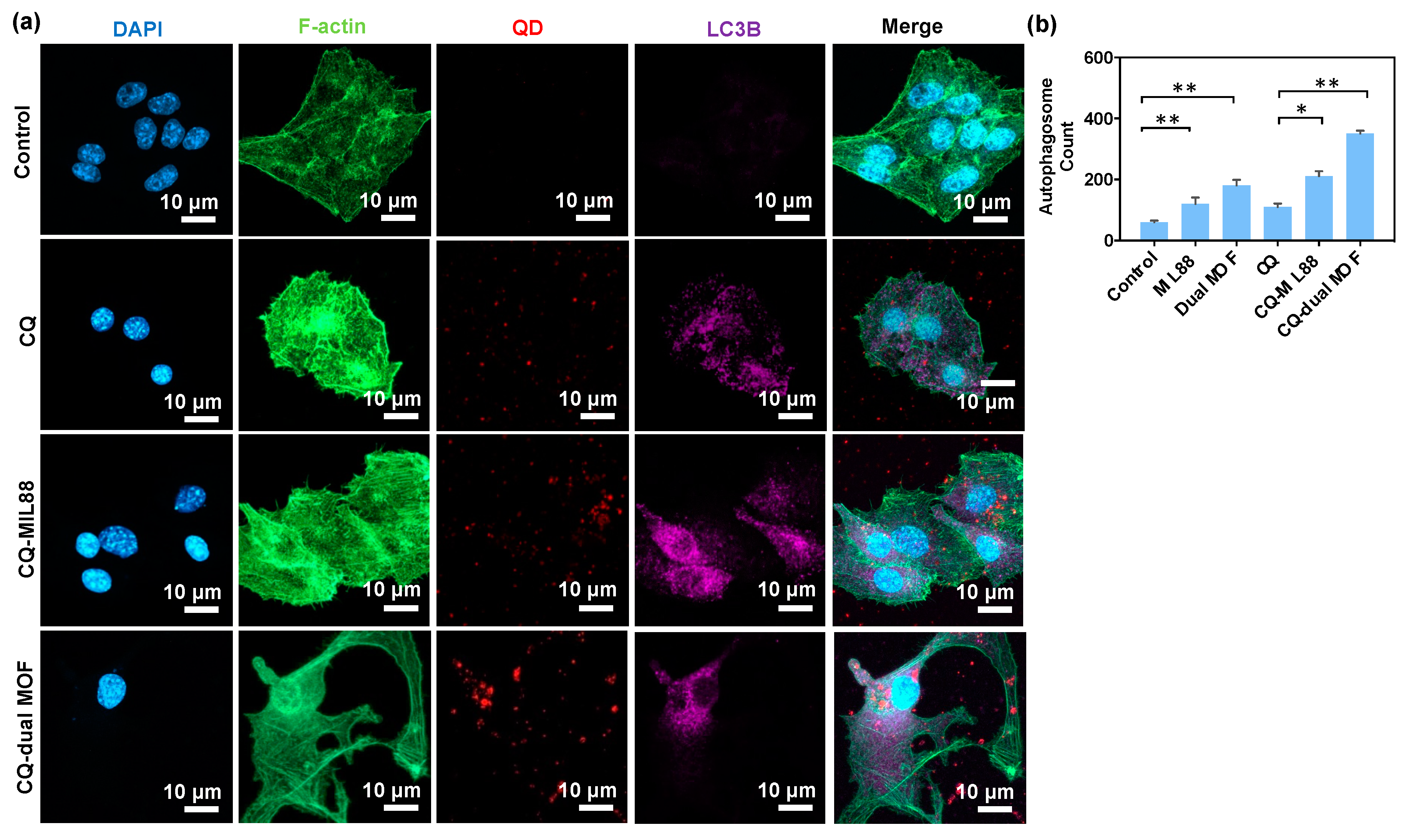 Pharmaceutics 14 00527 g005 550