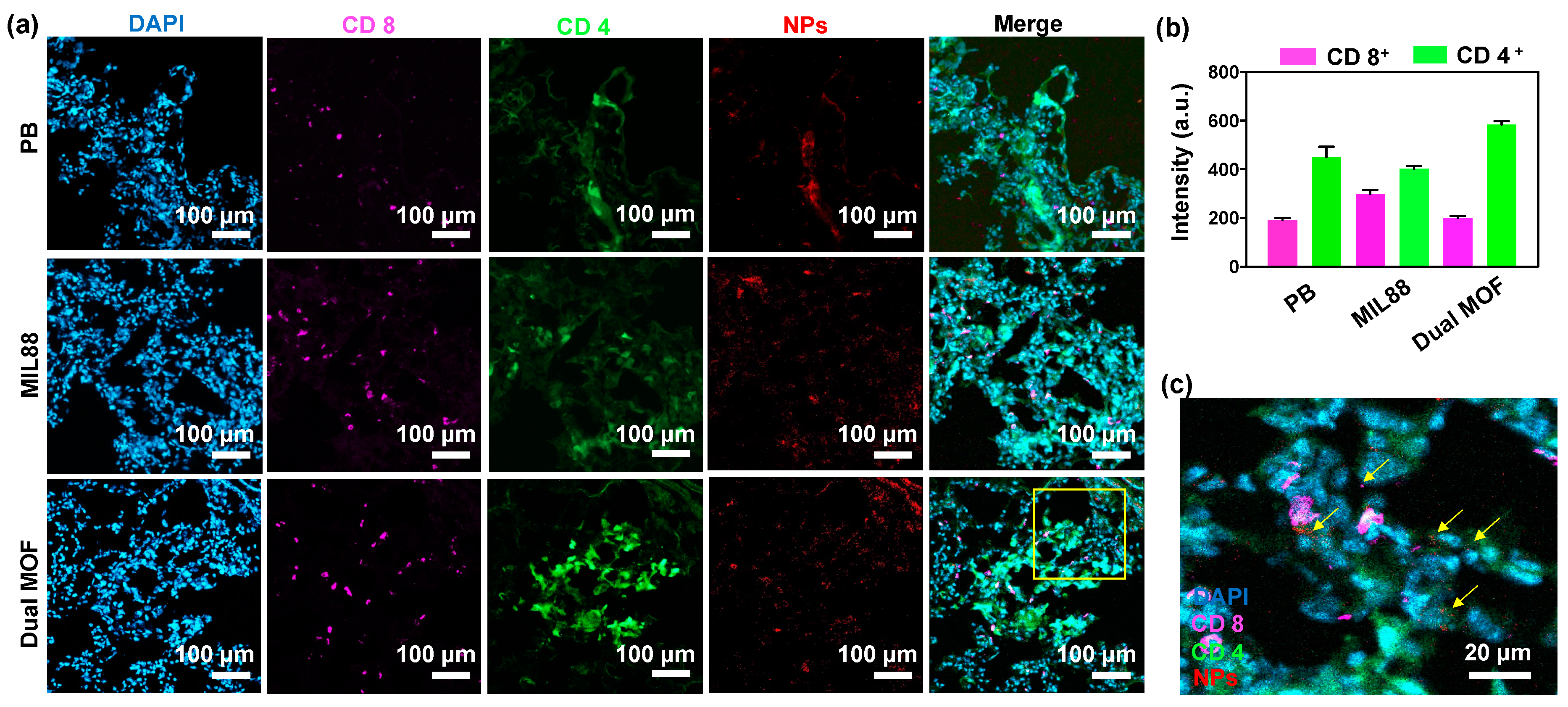 Pharmaceutics 14 00527 g006 550