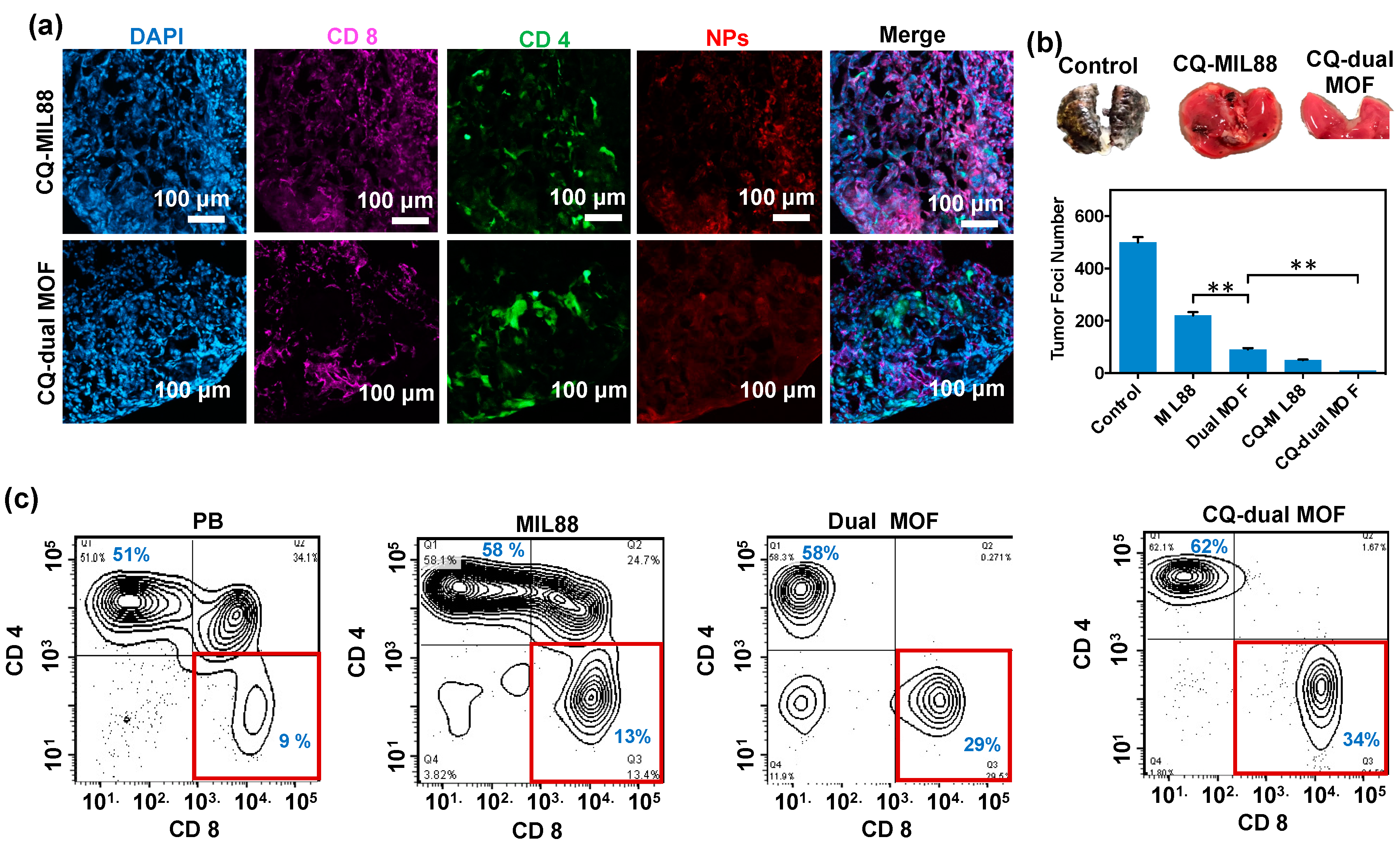 Pharmaceutics 14 00527 g007 550