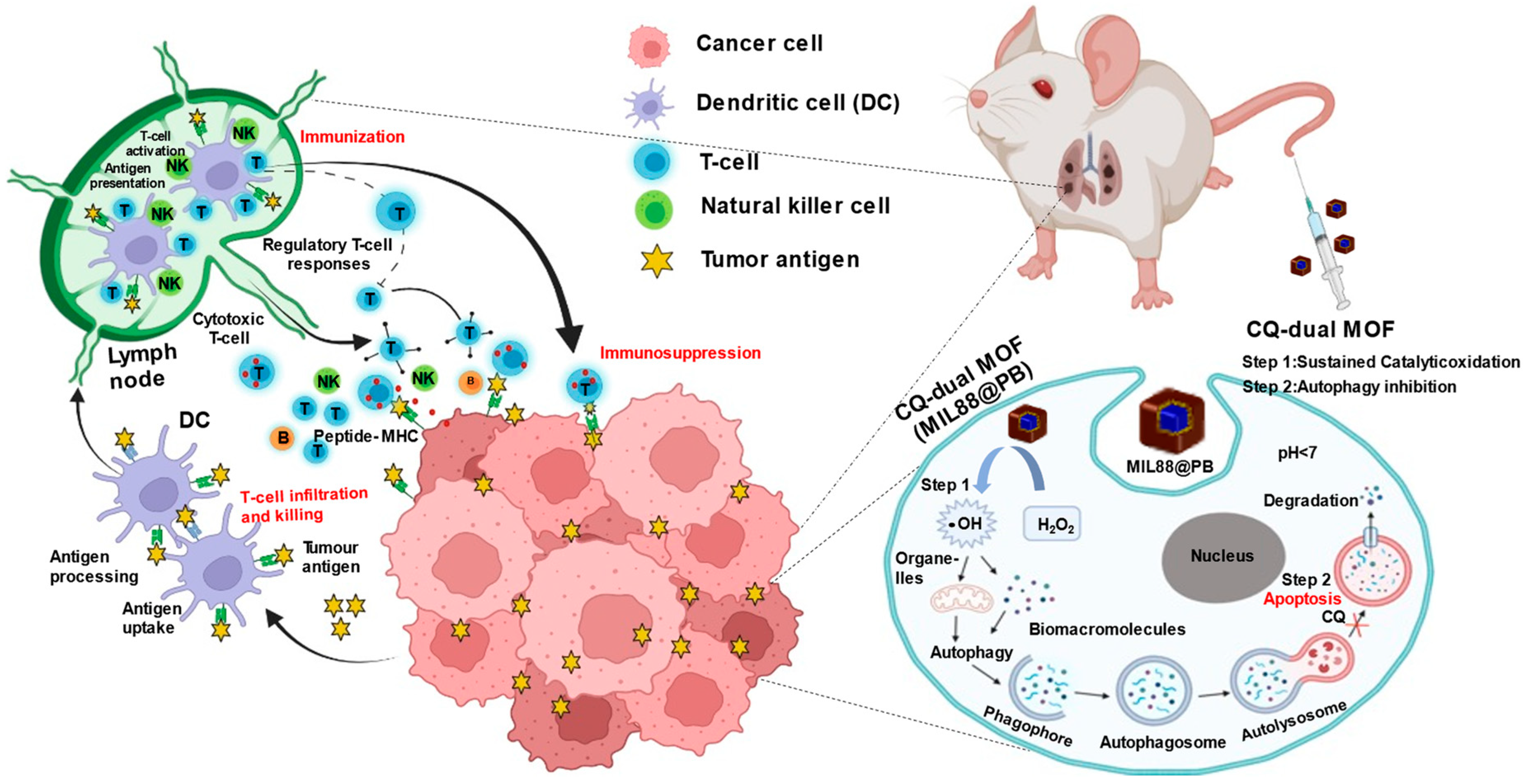 Pharmaceutics 14 00527 sch001 550