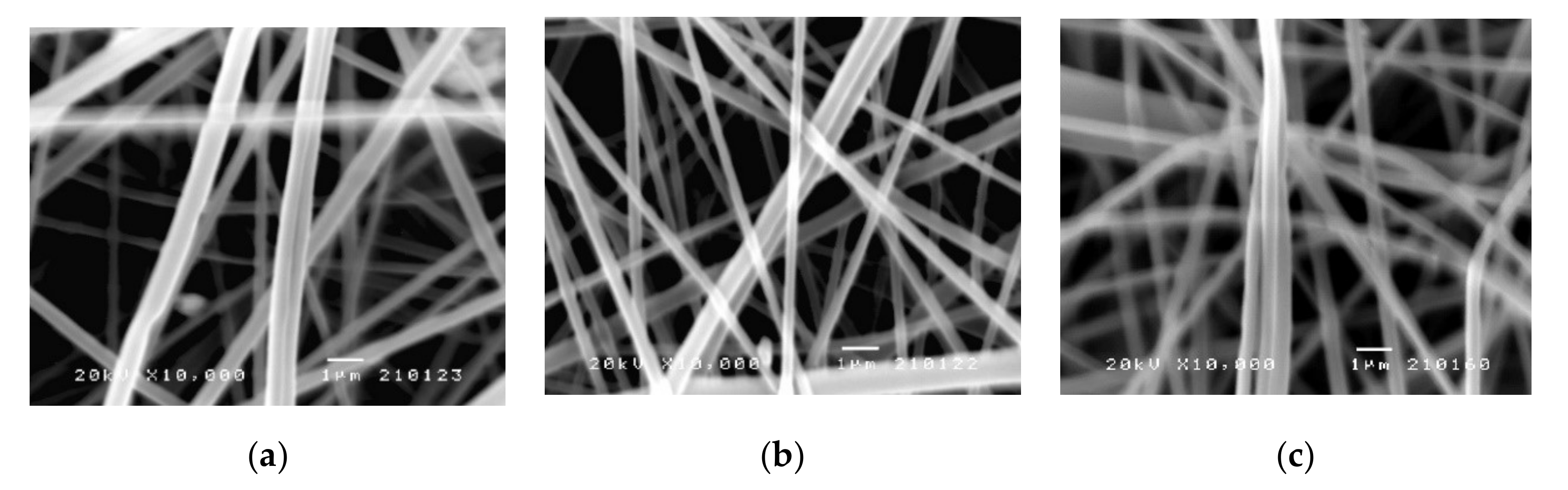 Pharmaceutics 14 00528 g003 550