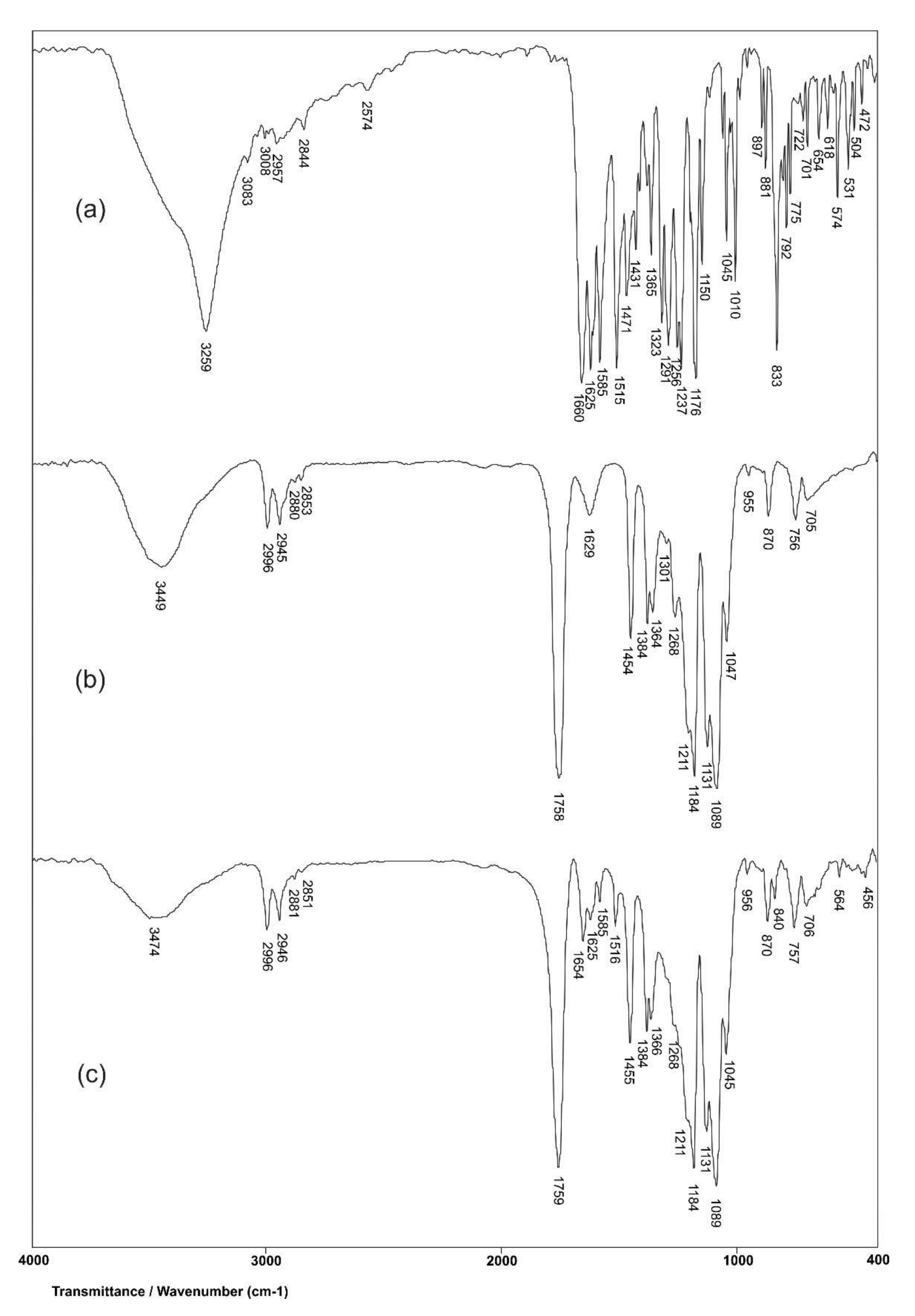 Pharmaceutics 14 00528 g004 550