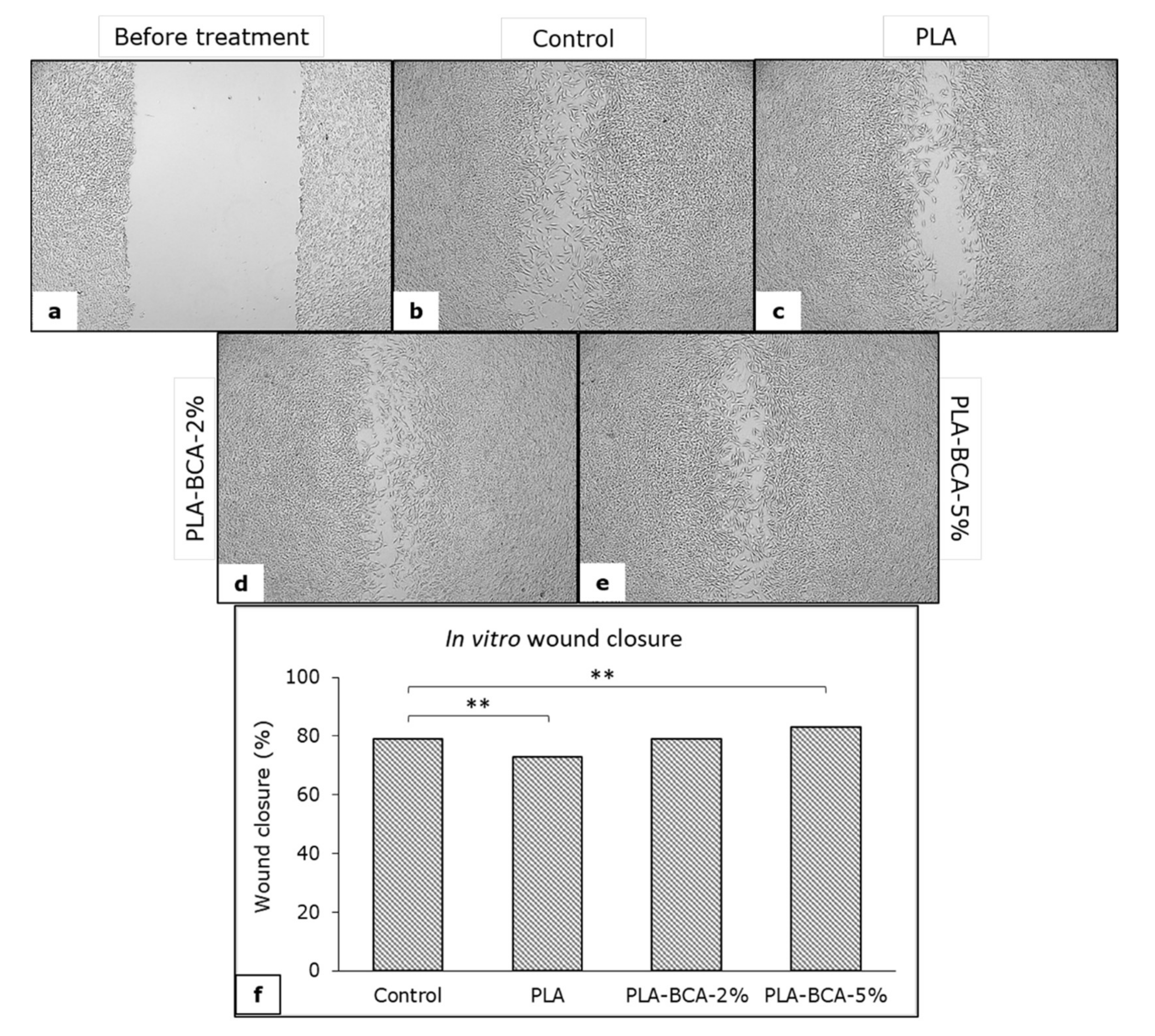Pharmaceutics 14 00528 g009 550