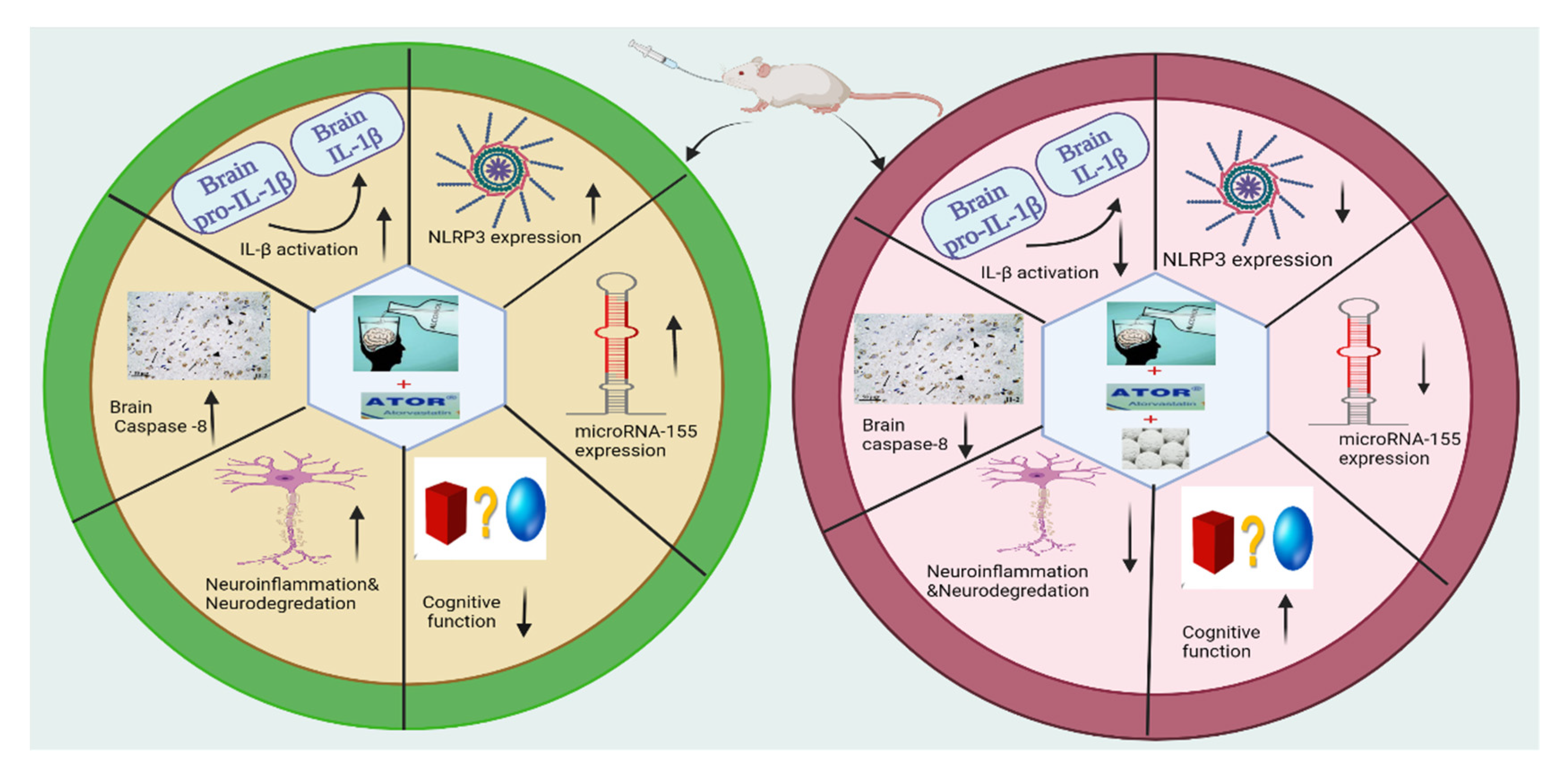 Pharmaceutics 14 00529 g008