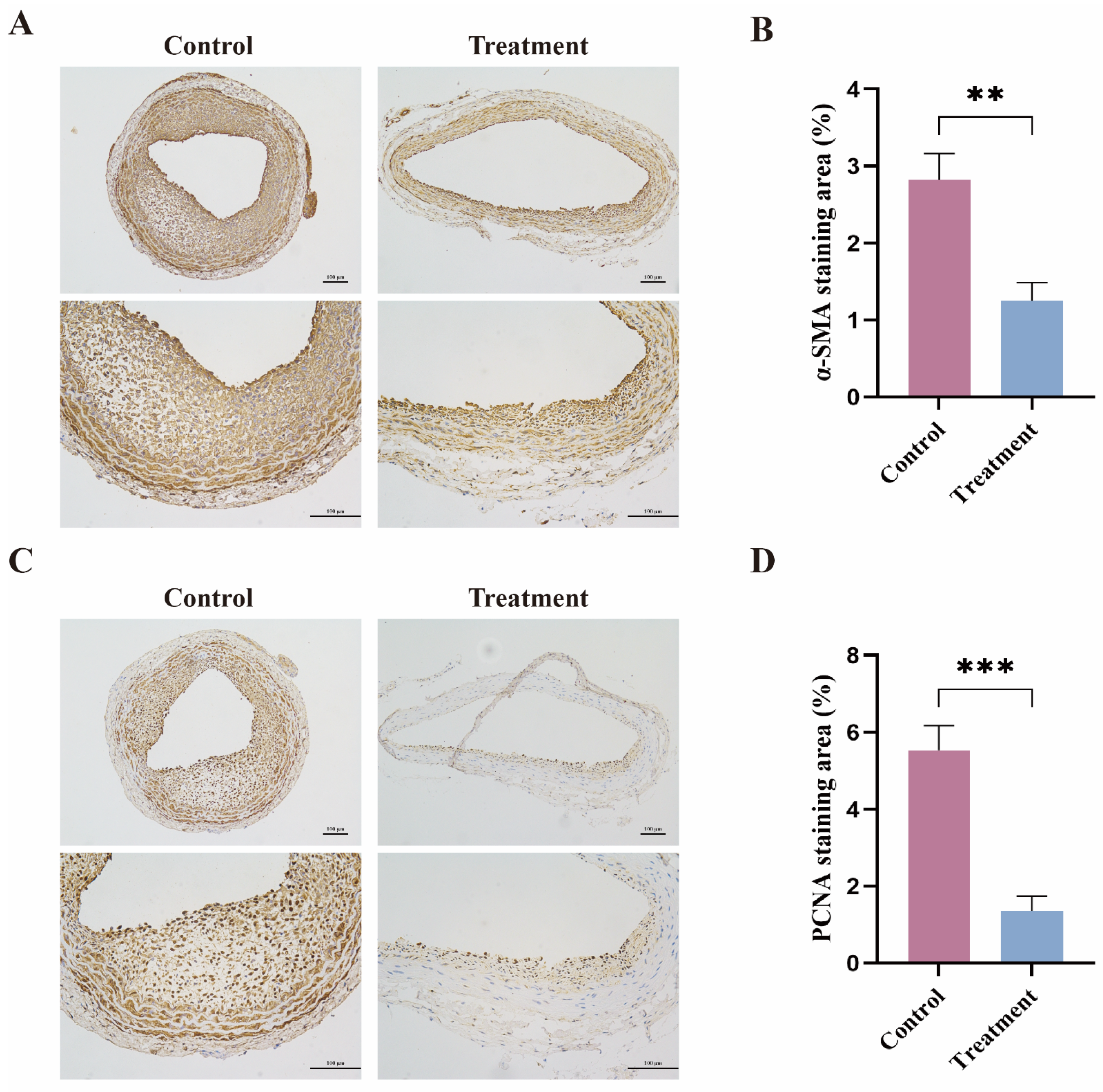 Pharmaceutics 14 00535 g005 550