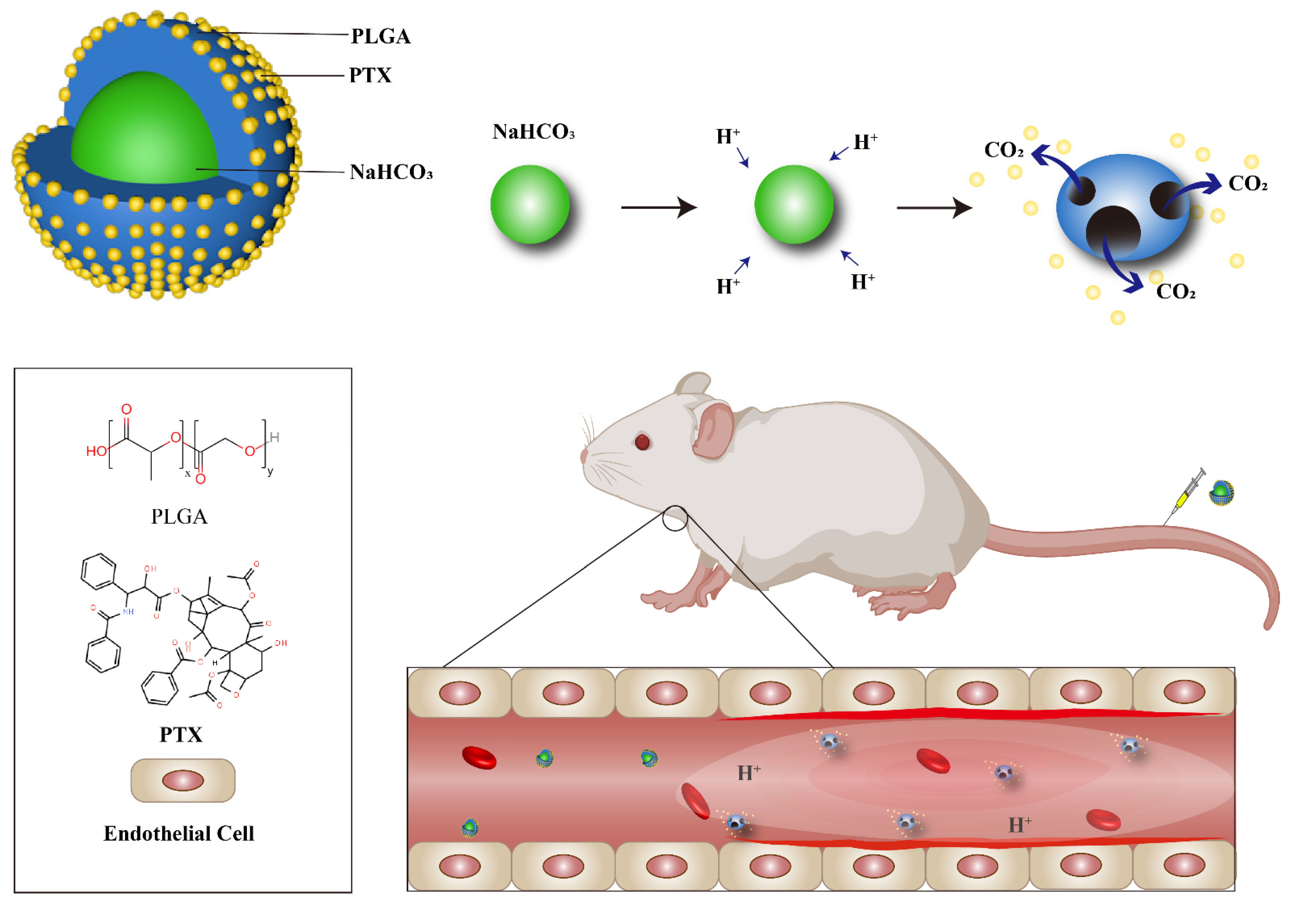 Pharmaceutics 14 00535 sch001 550