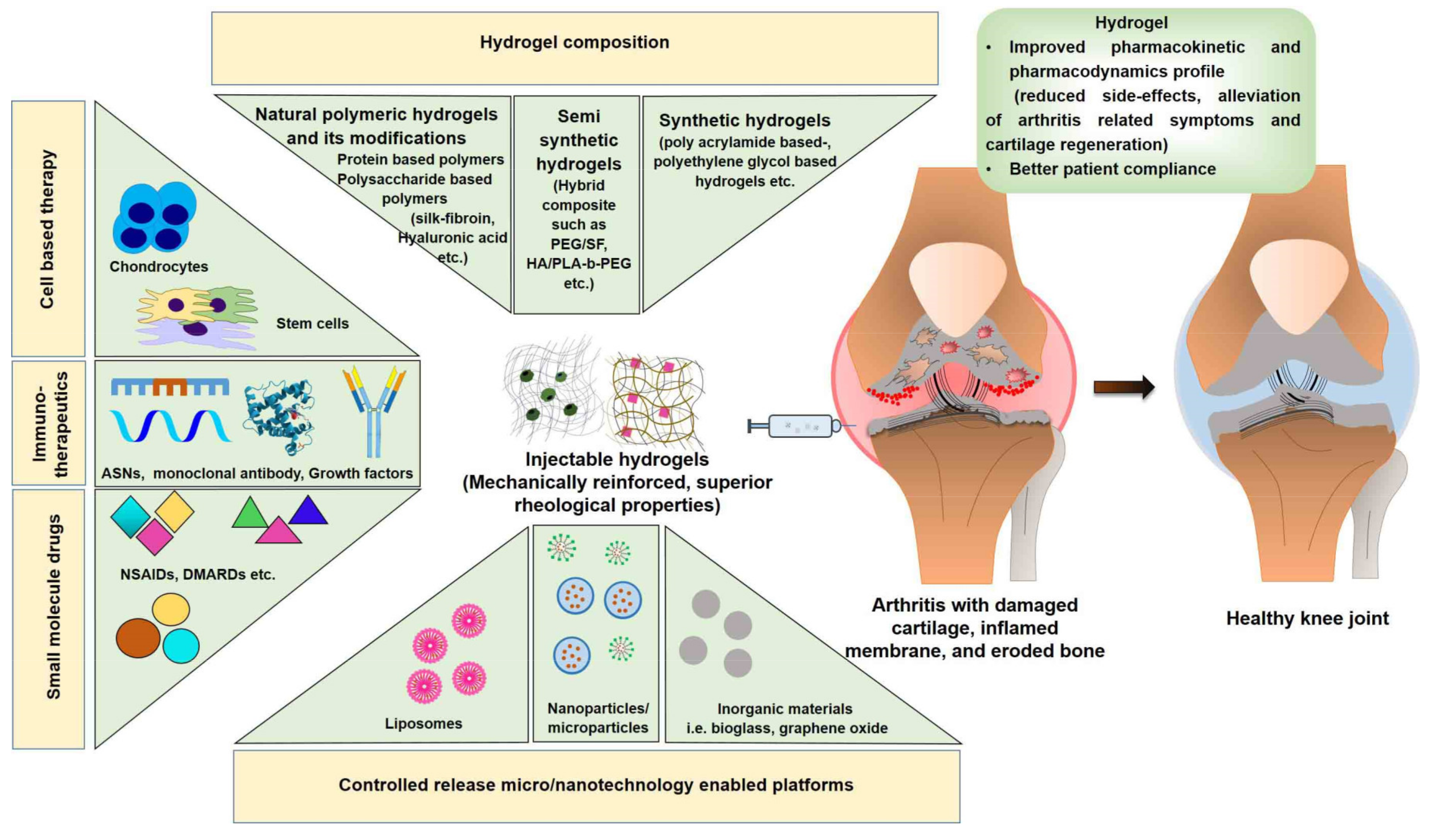 Pharmaceutics 14 00540 g001