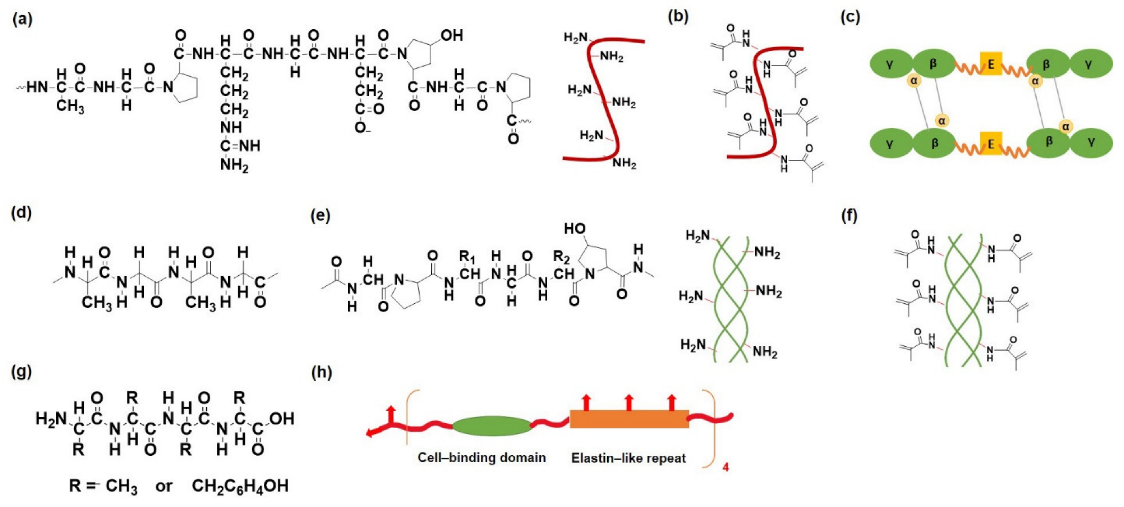 Pharmaceutics 14 00540 g002